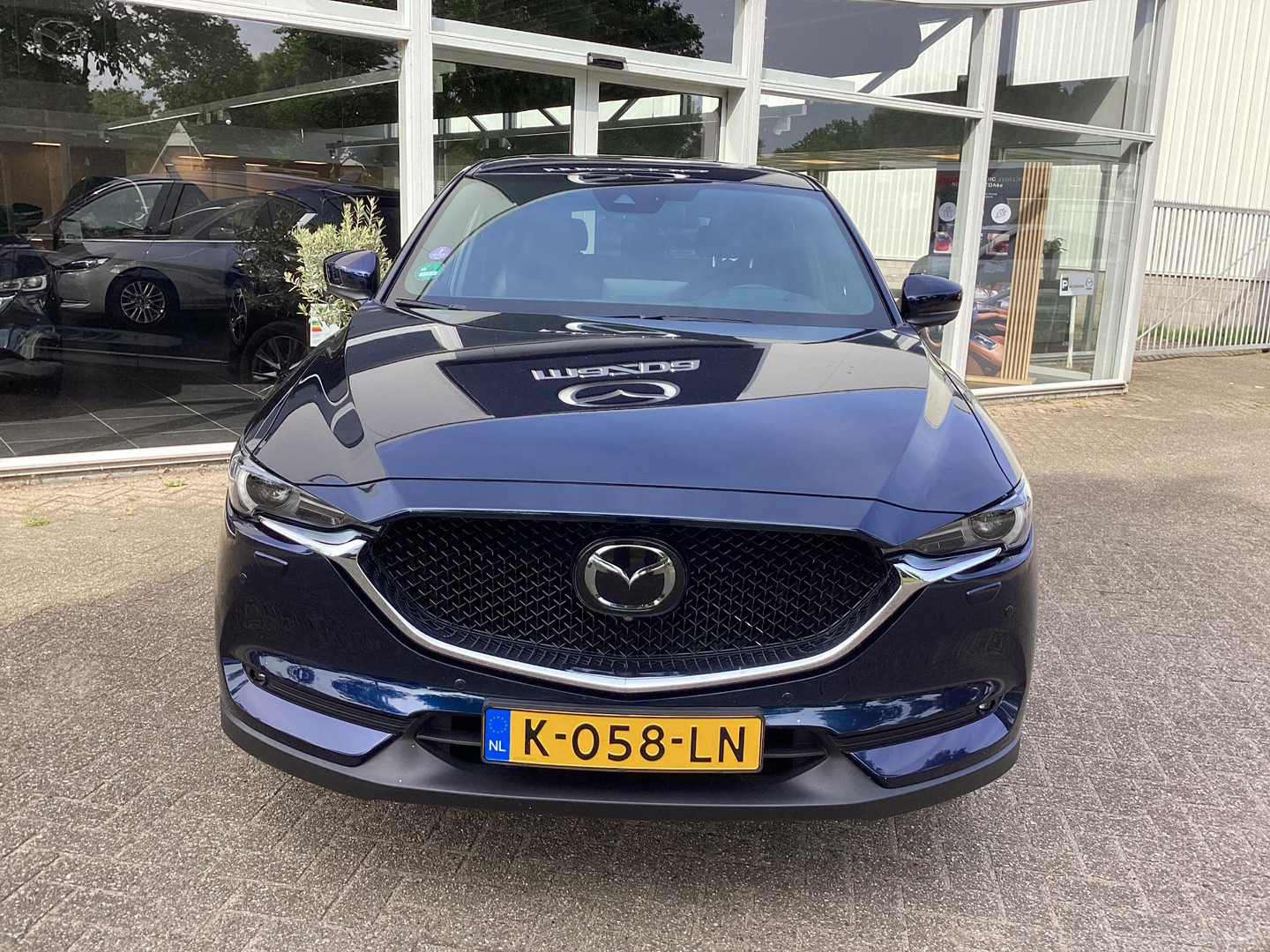 Mazda Mazda