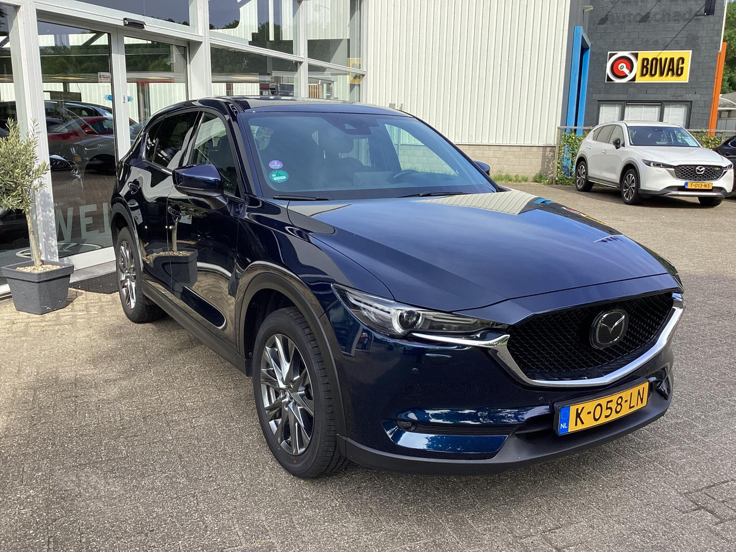 Mazda Mazda