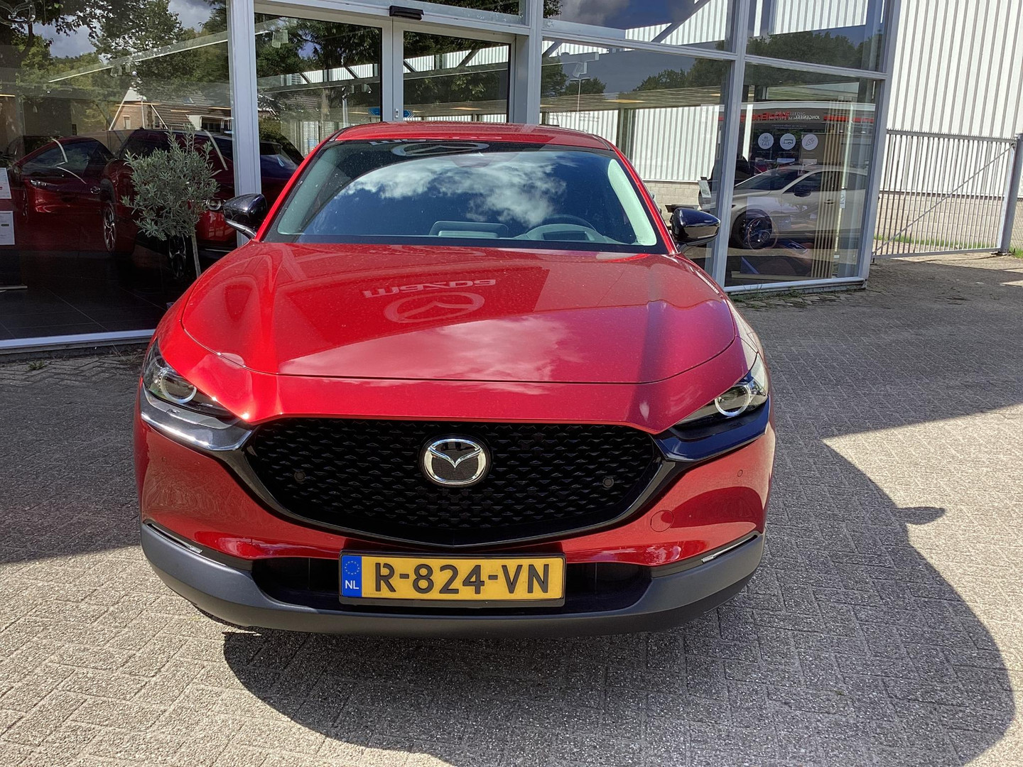 Mazda