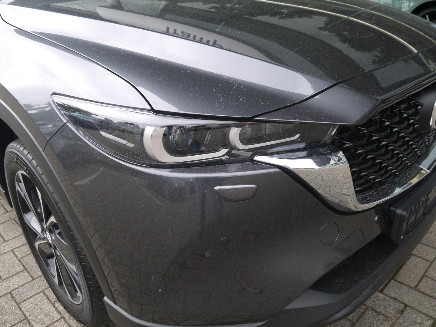 Mazda Mazda