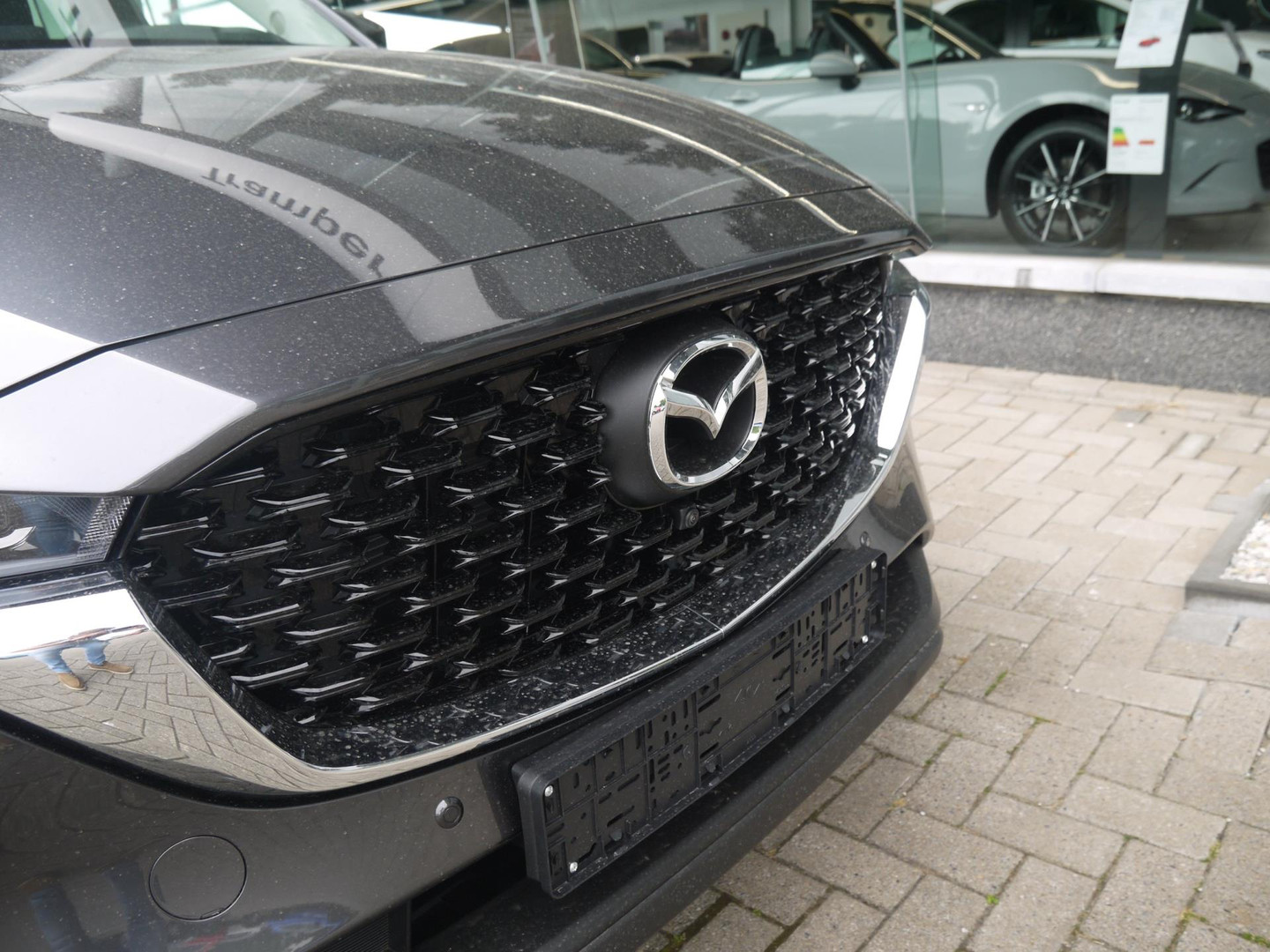 Mazda Mazda