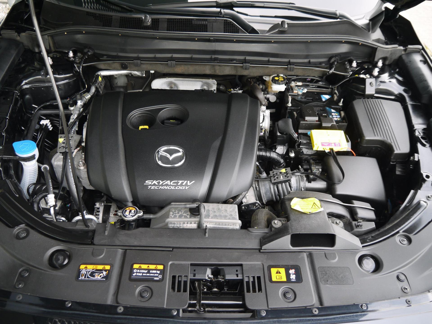 Mazda Mazda