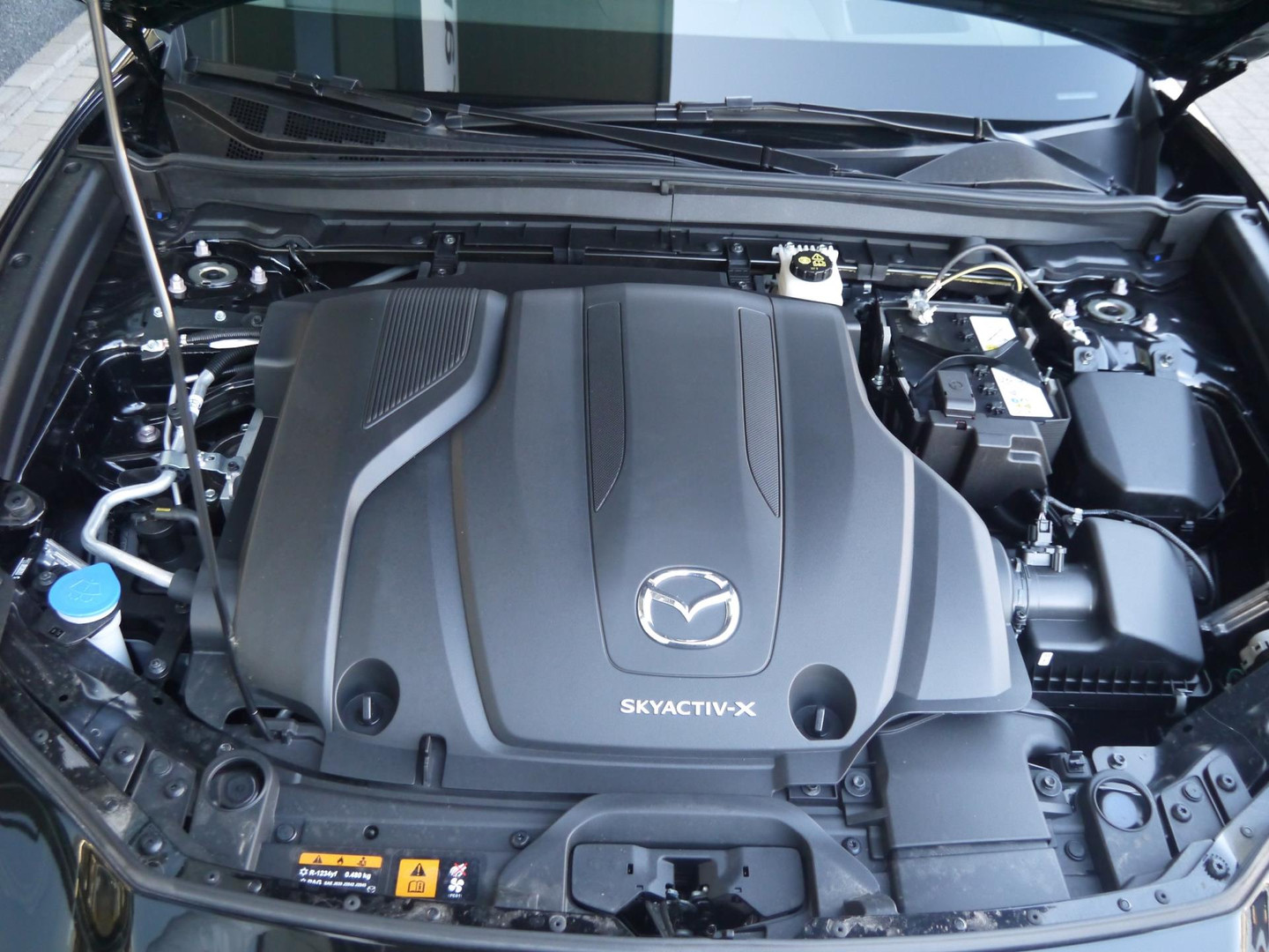 Mazda Mazda