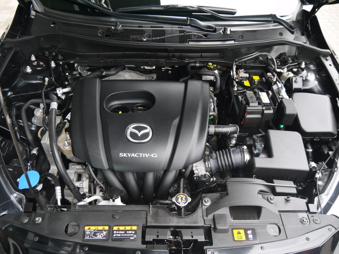 Mazda Mazda