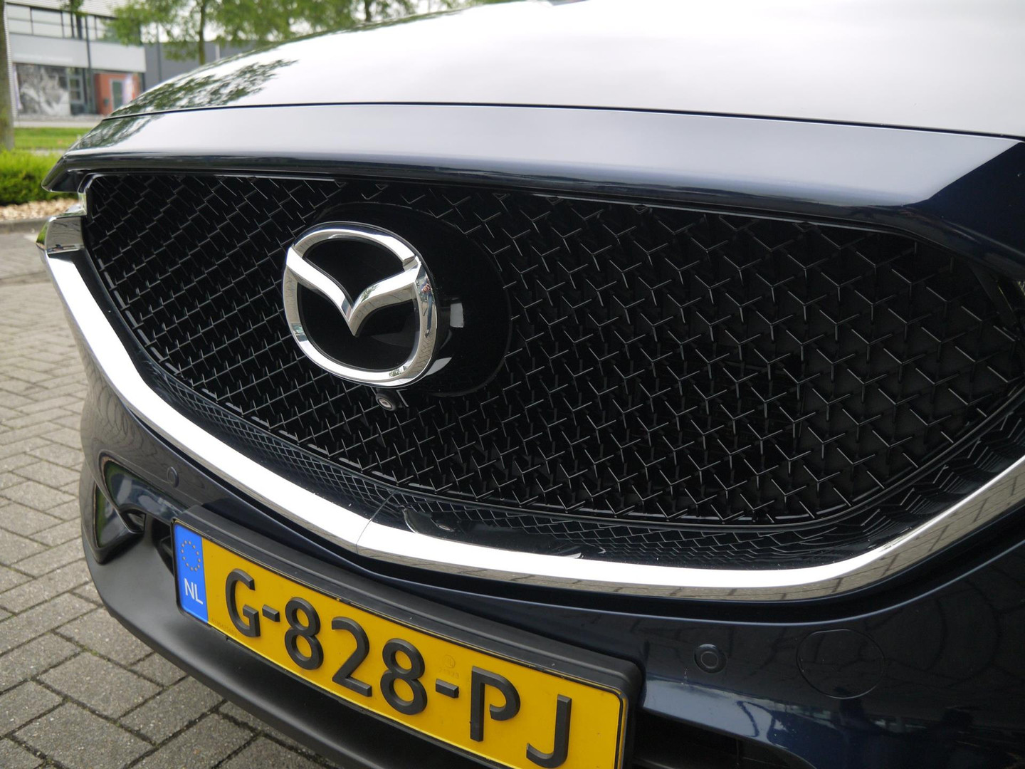 Mazda Mazda