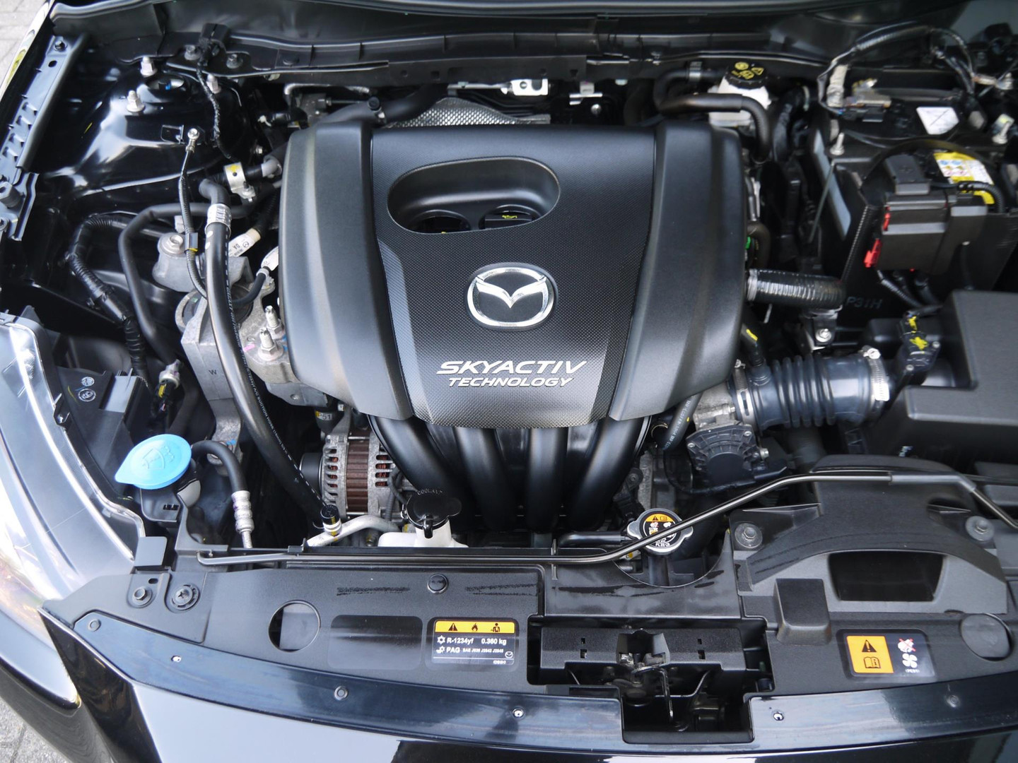 Mazda Mazda