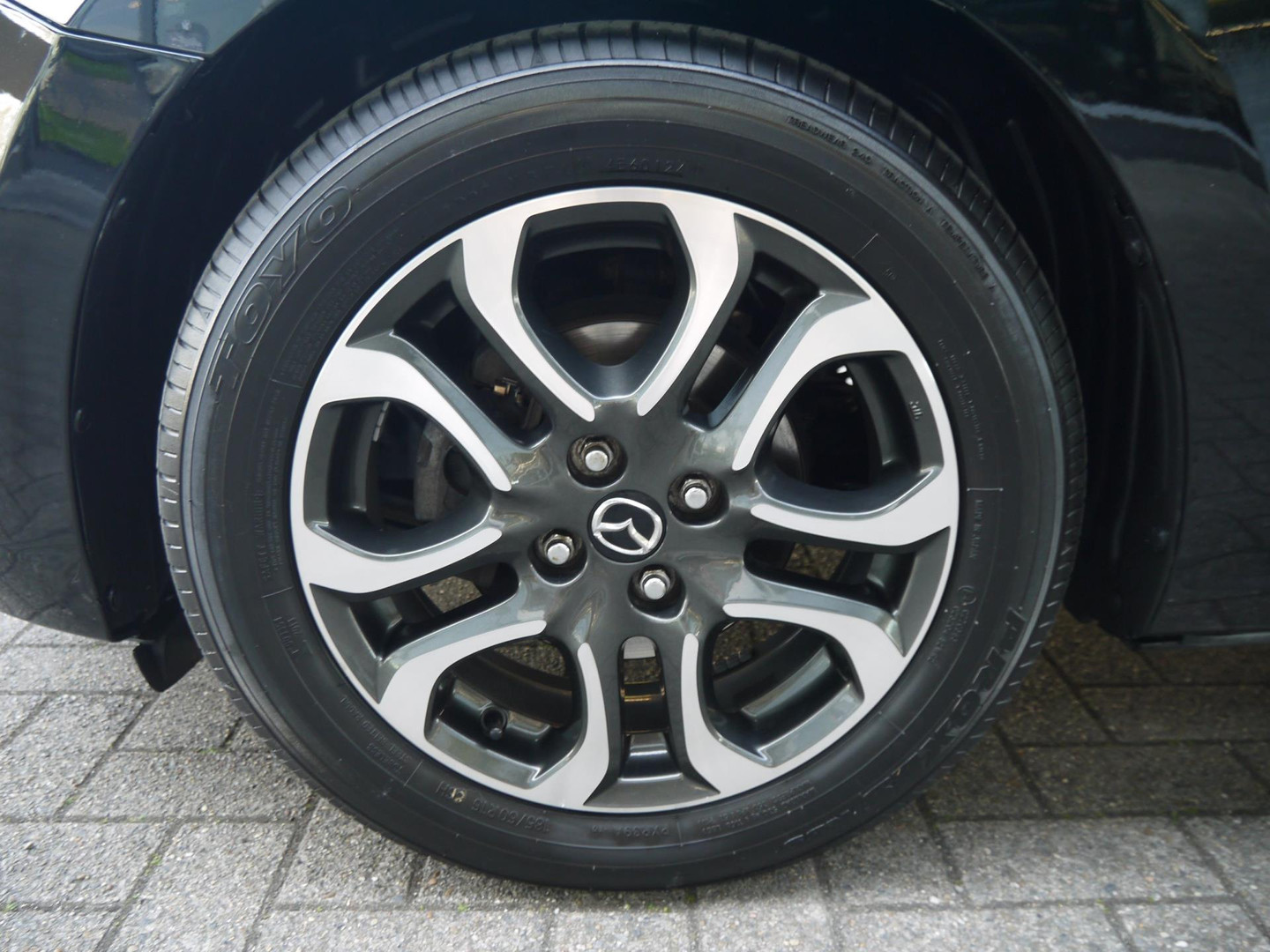 Mazda Mazda