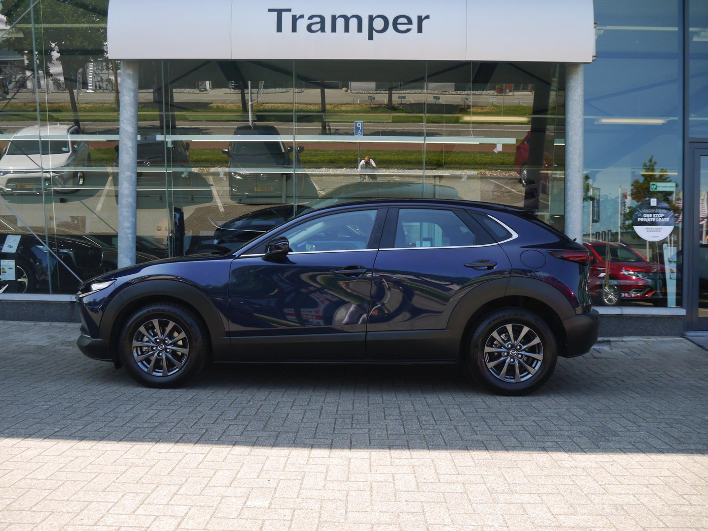 Mazda Mazda