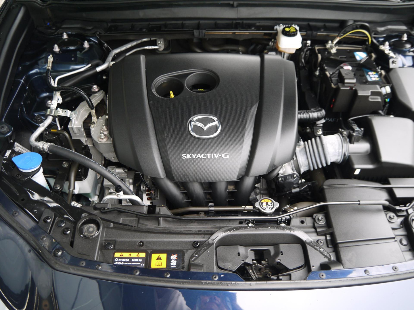Mazda Mazda