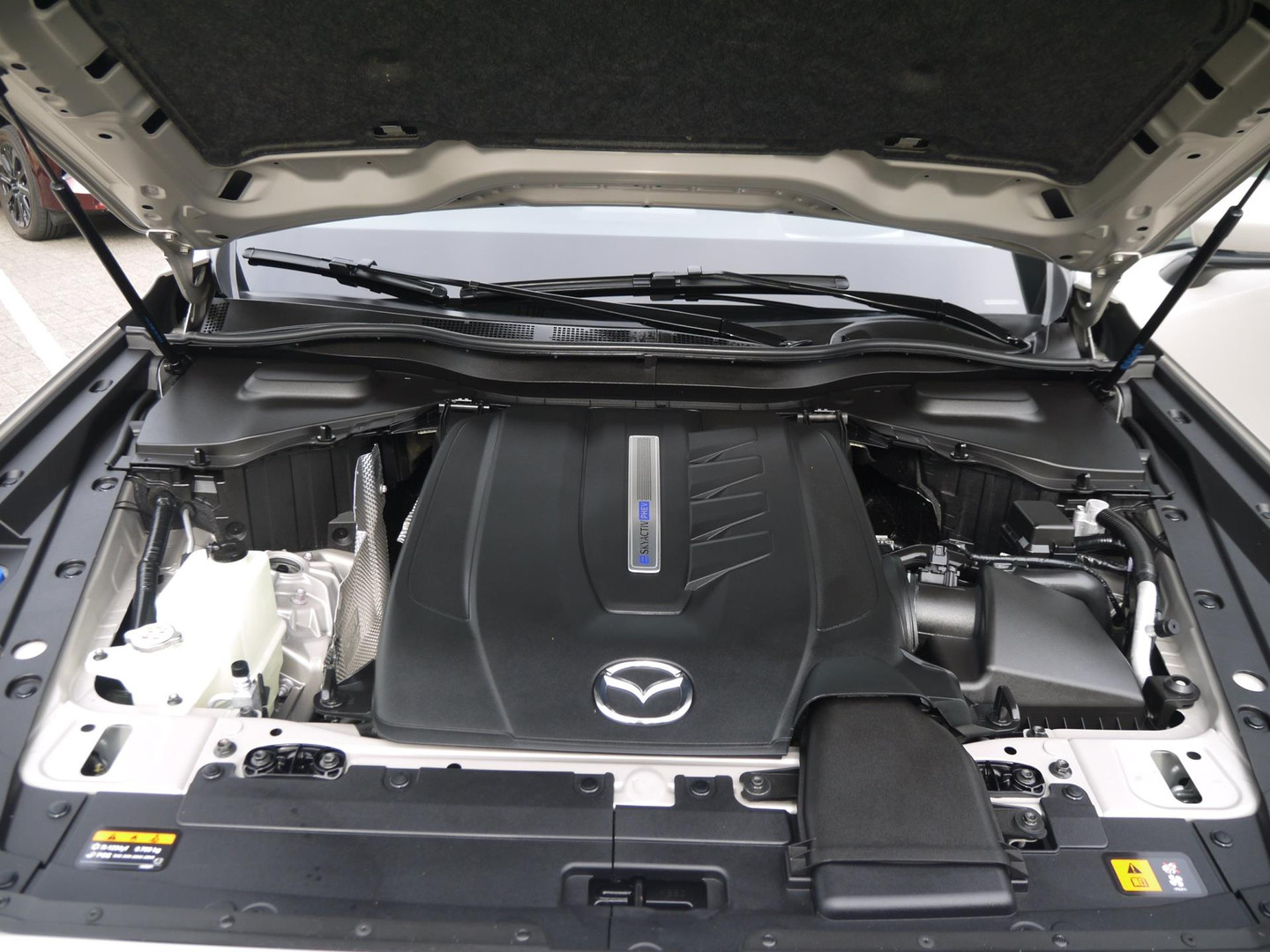 Mazda Mazda