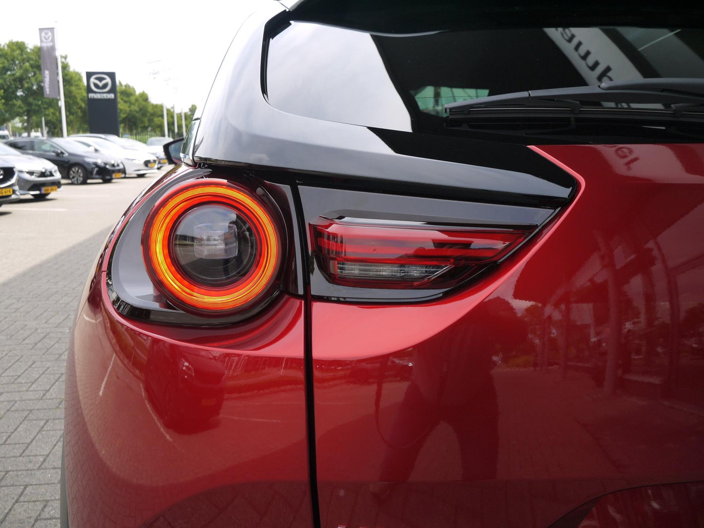 Mazda Mazda
