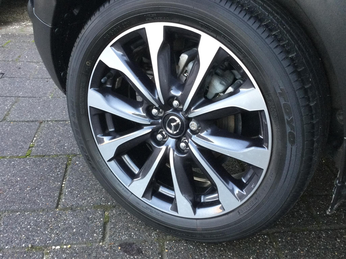 Mazda Mazda