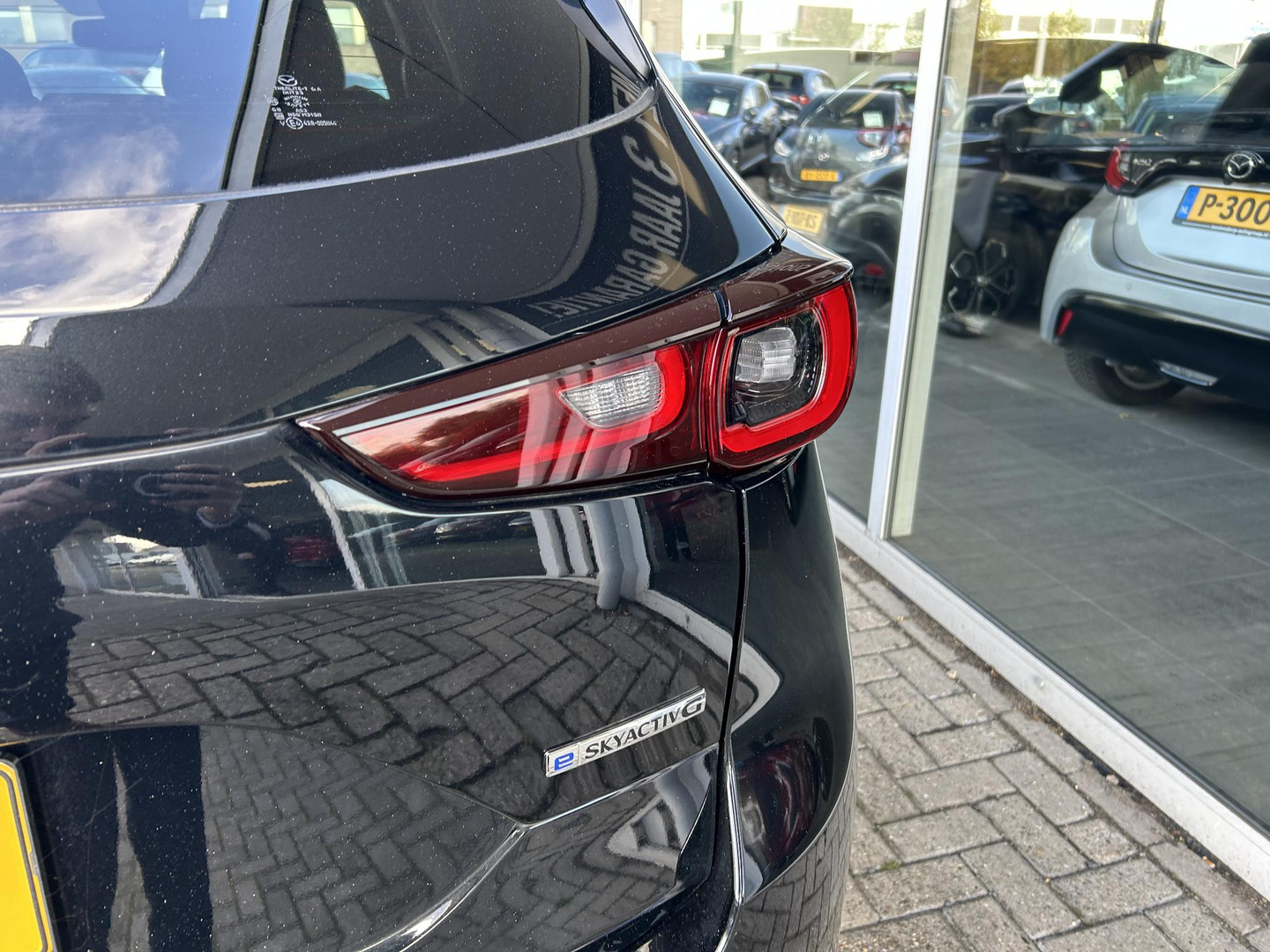 Mazda Mazda