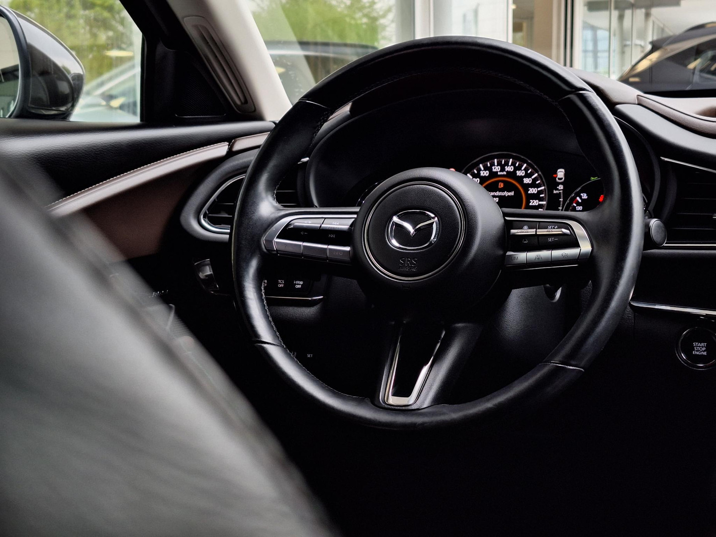 Mazda Mazda
