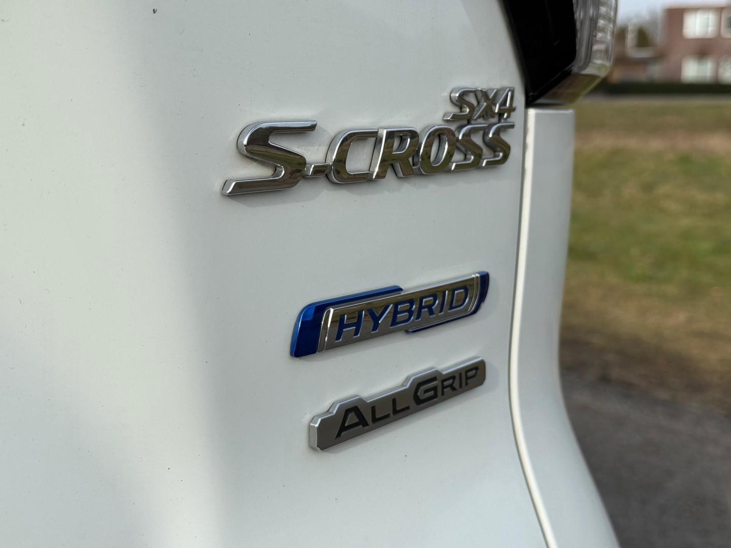 Suzuki Suzuki