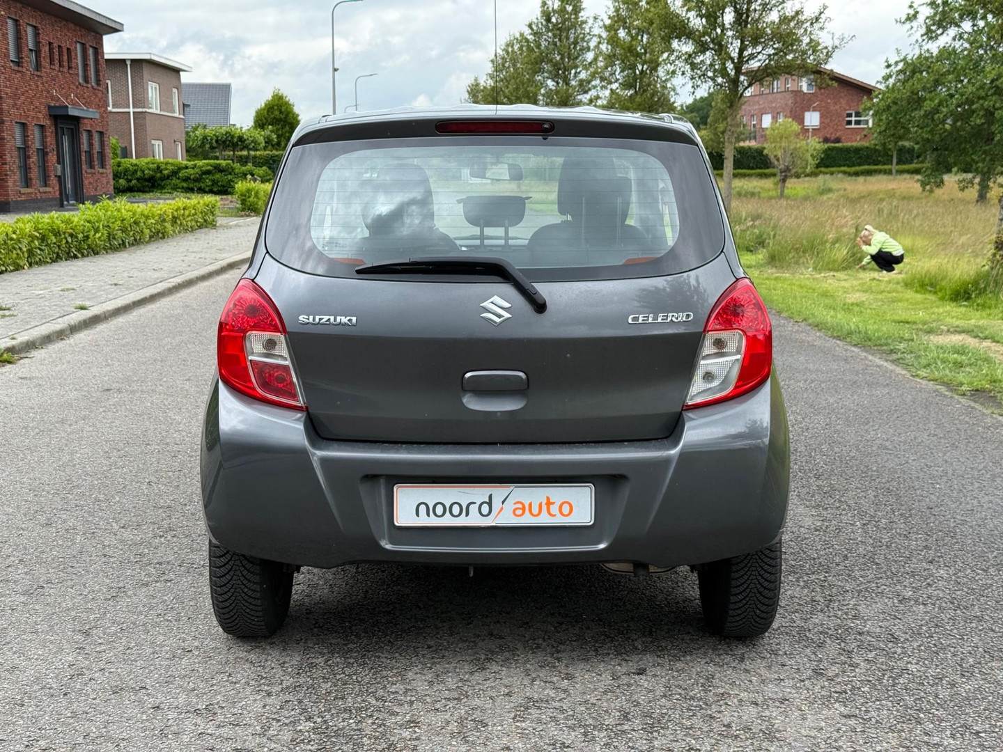 Suzuki Suzuki