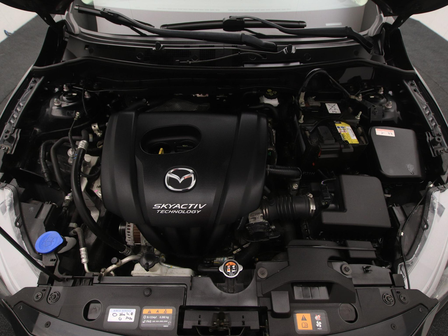 Mazda Mazda