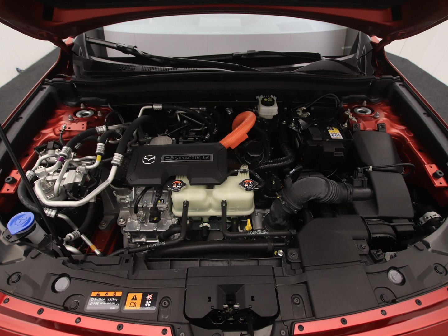 Mazda Mazda