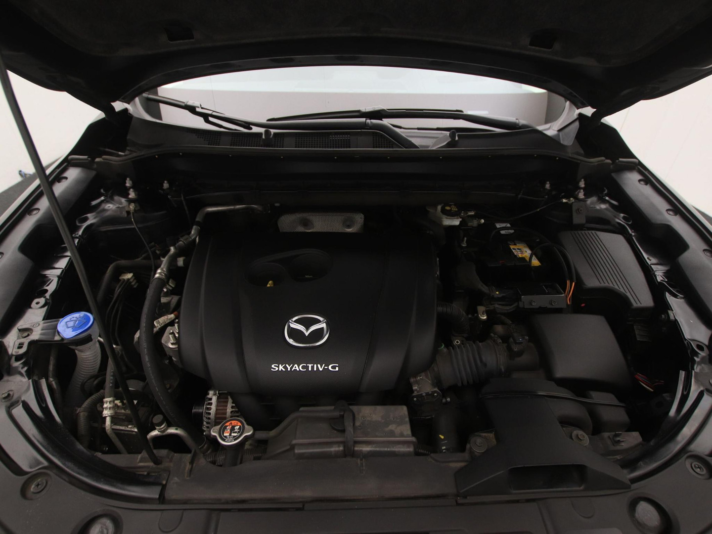 Mazda Mazda