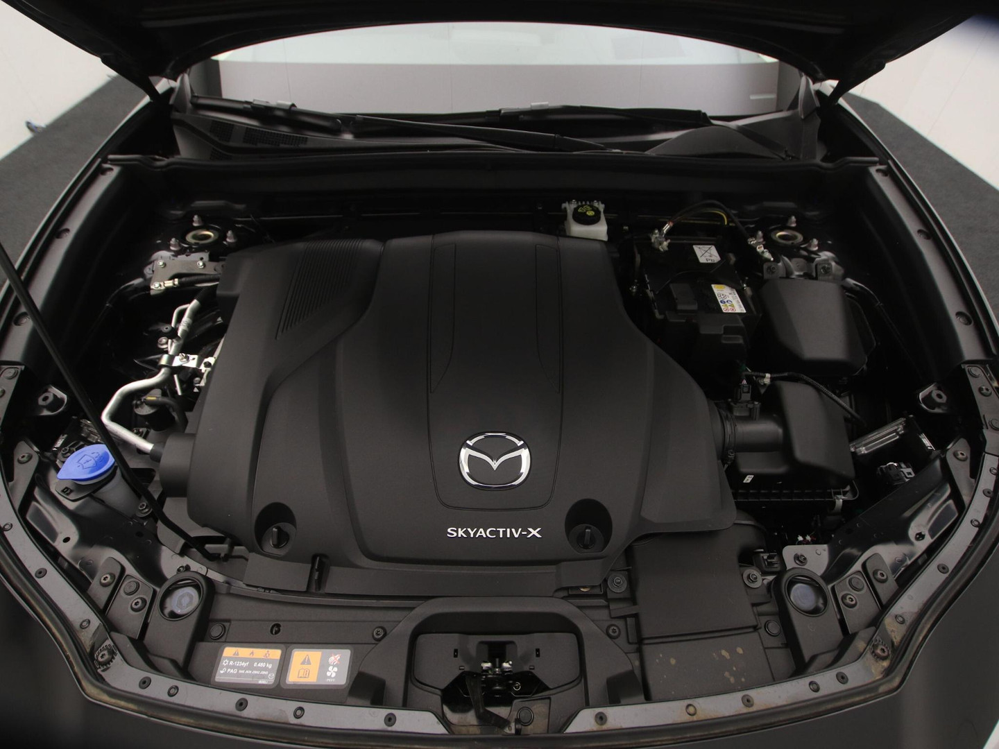 Mazda Mazda
