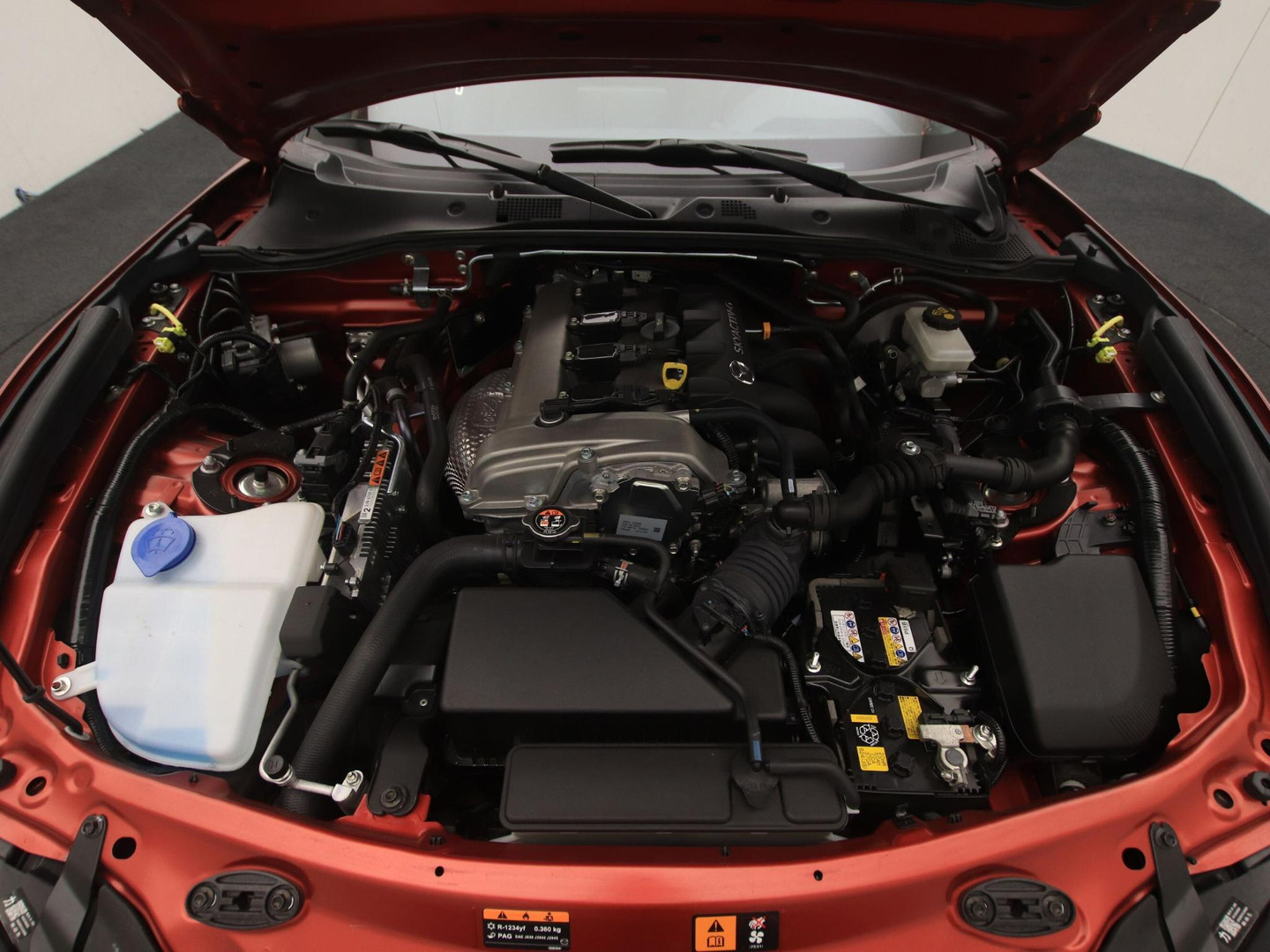 Mazda Mazda