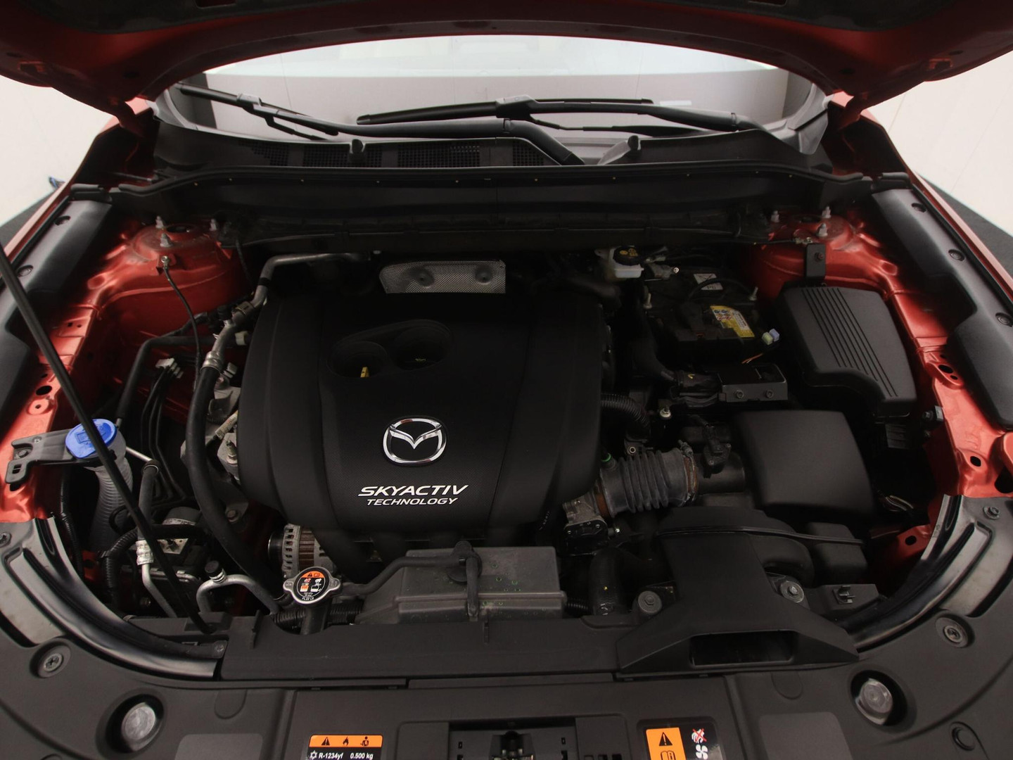 Mazda Mazda