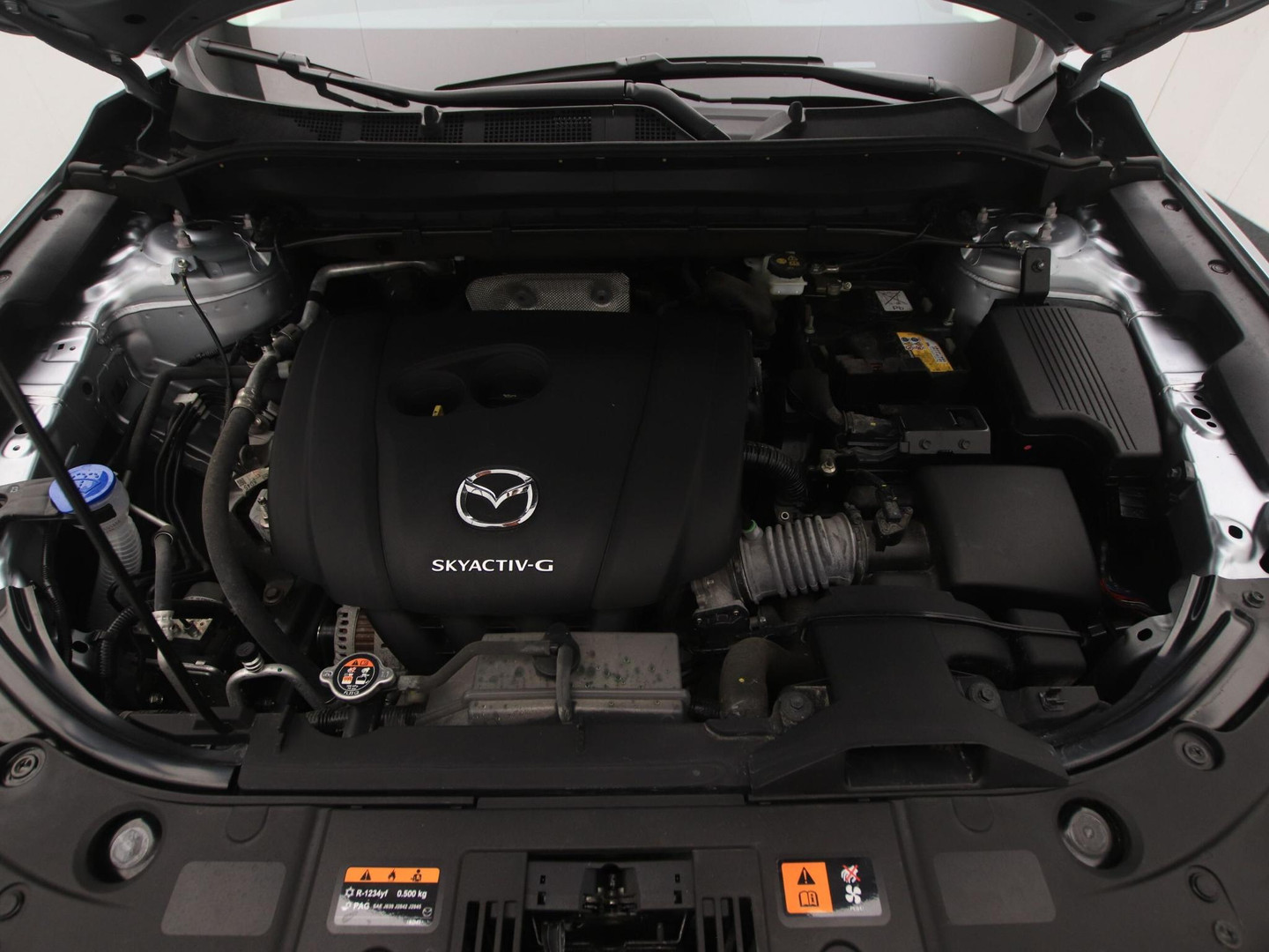 Mazda Mazda