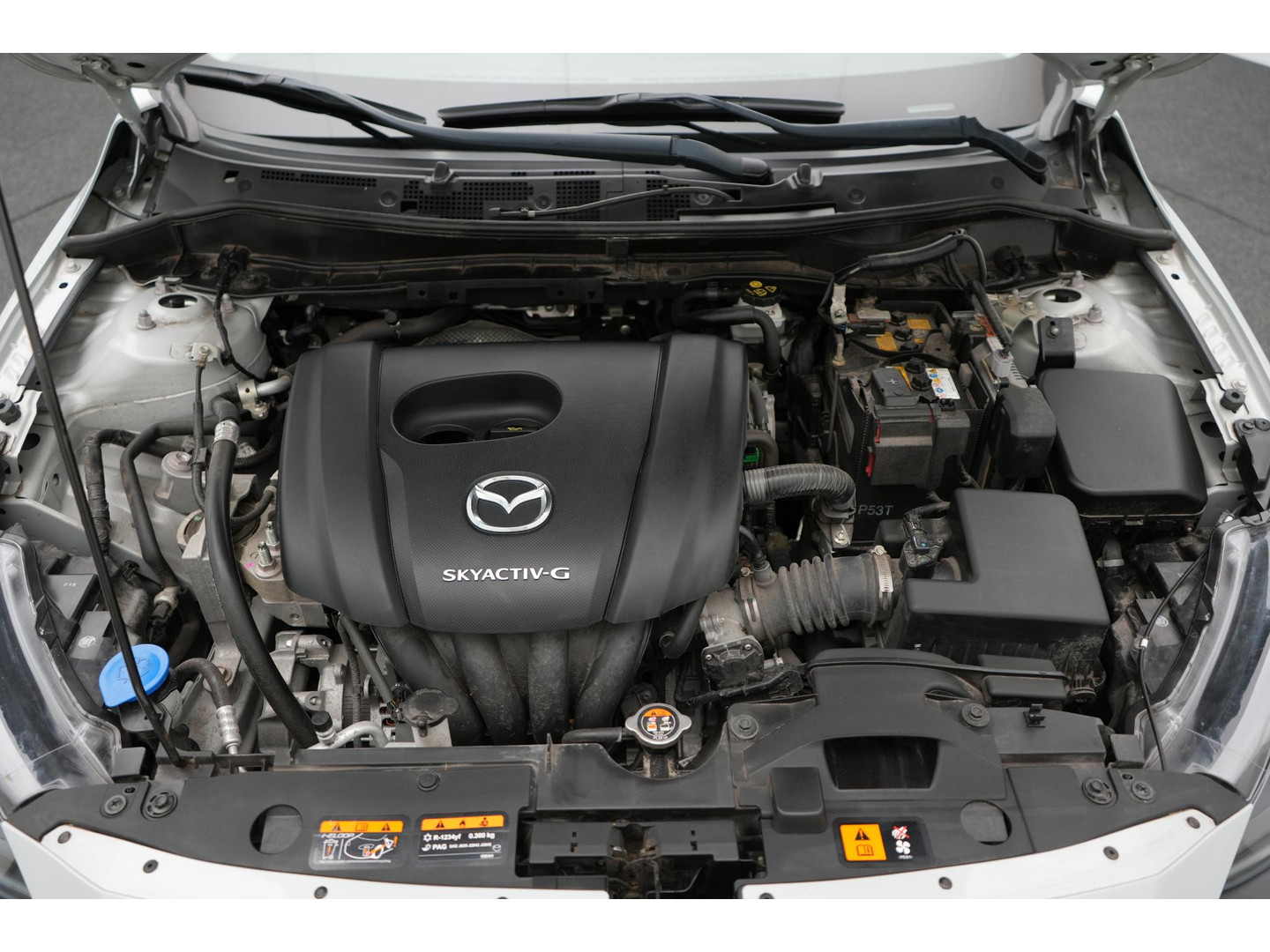 Mazda Mazda