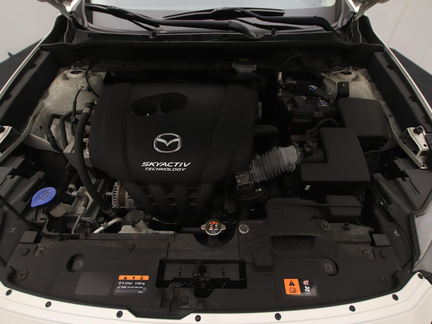 Mazda Mazda