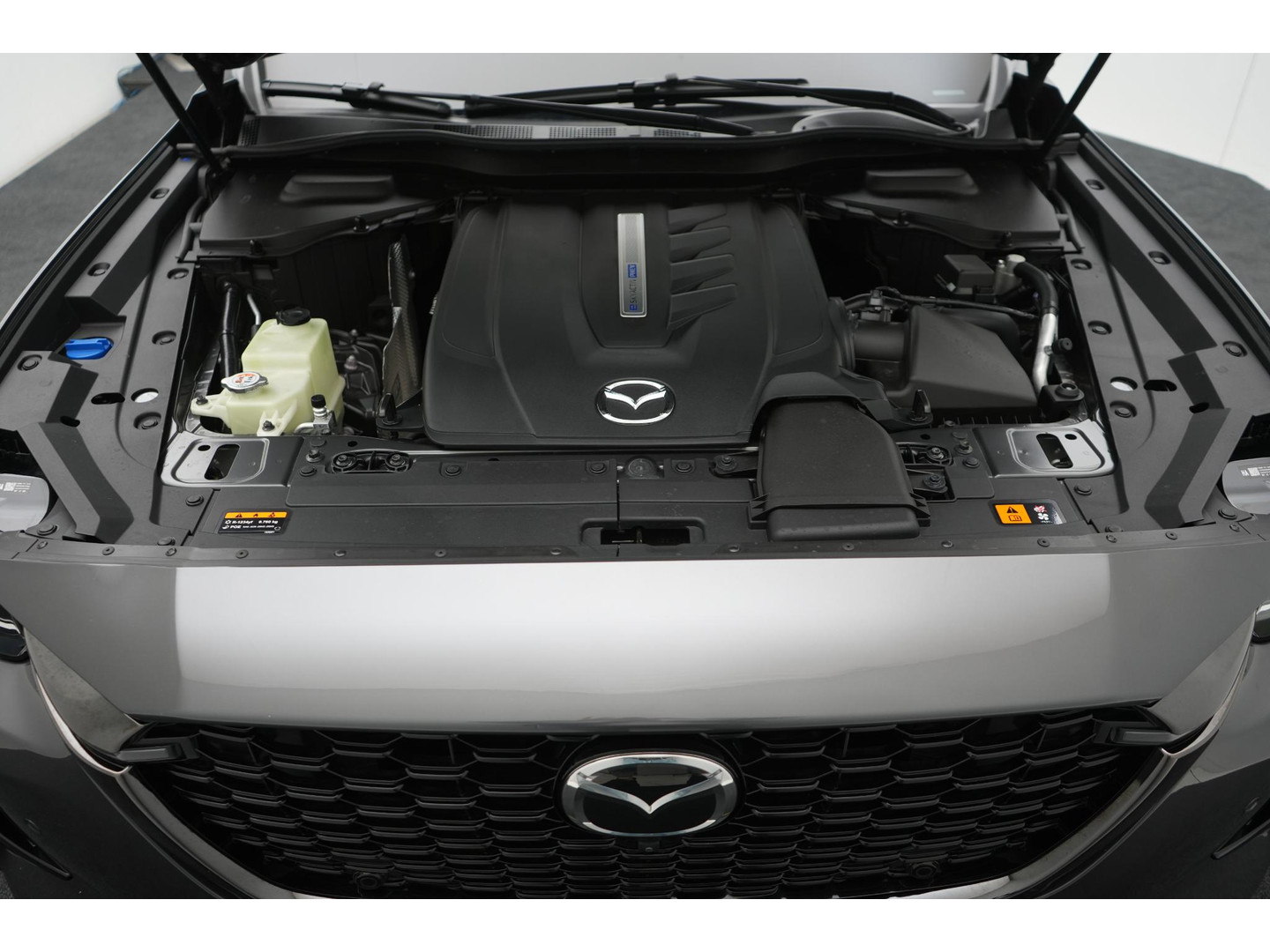 Mazda Mazda