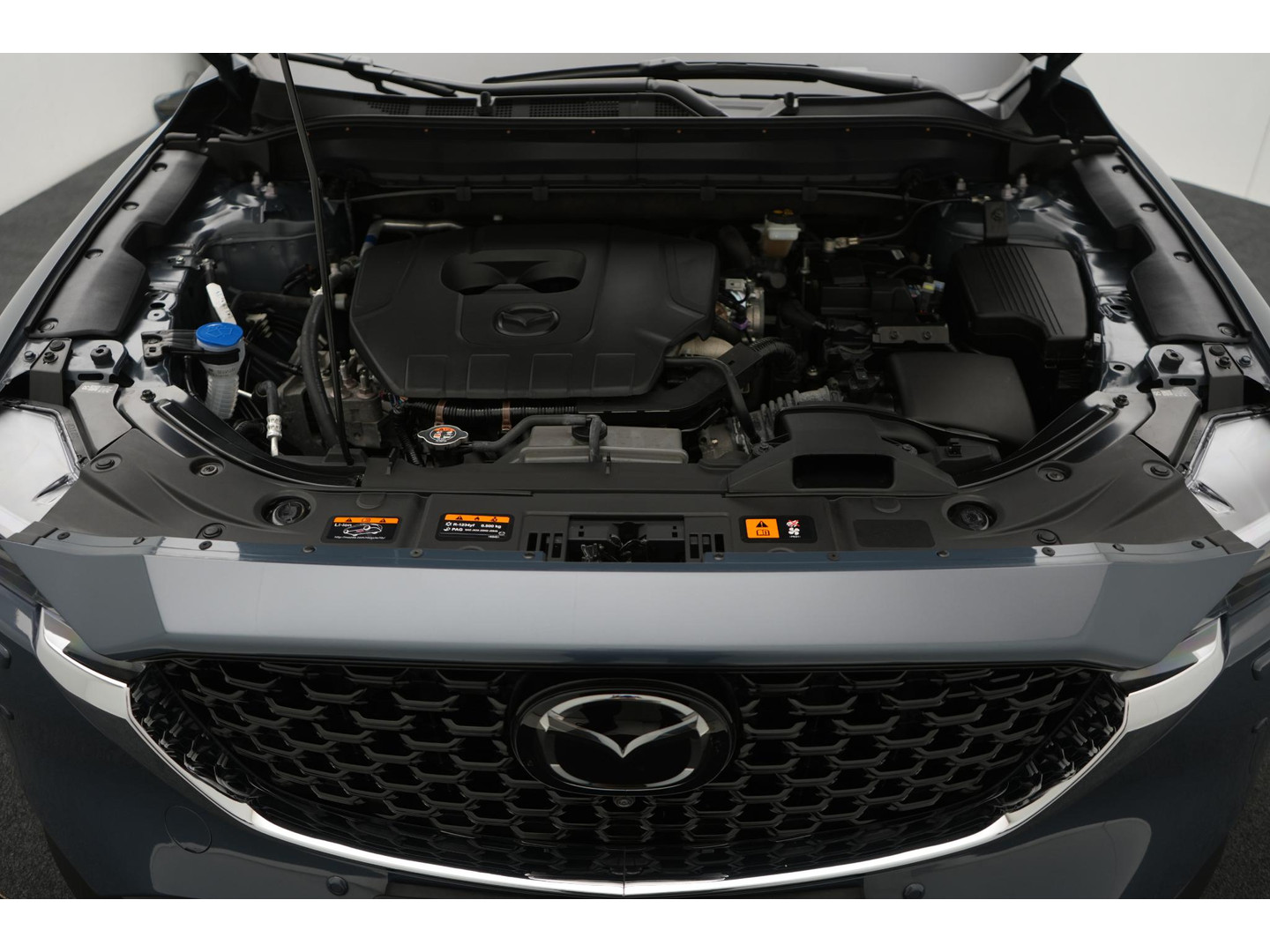 Mazda Mazda