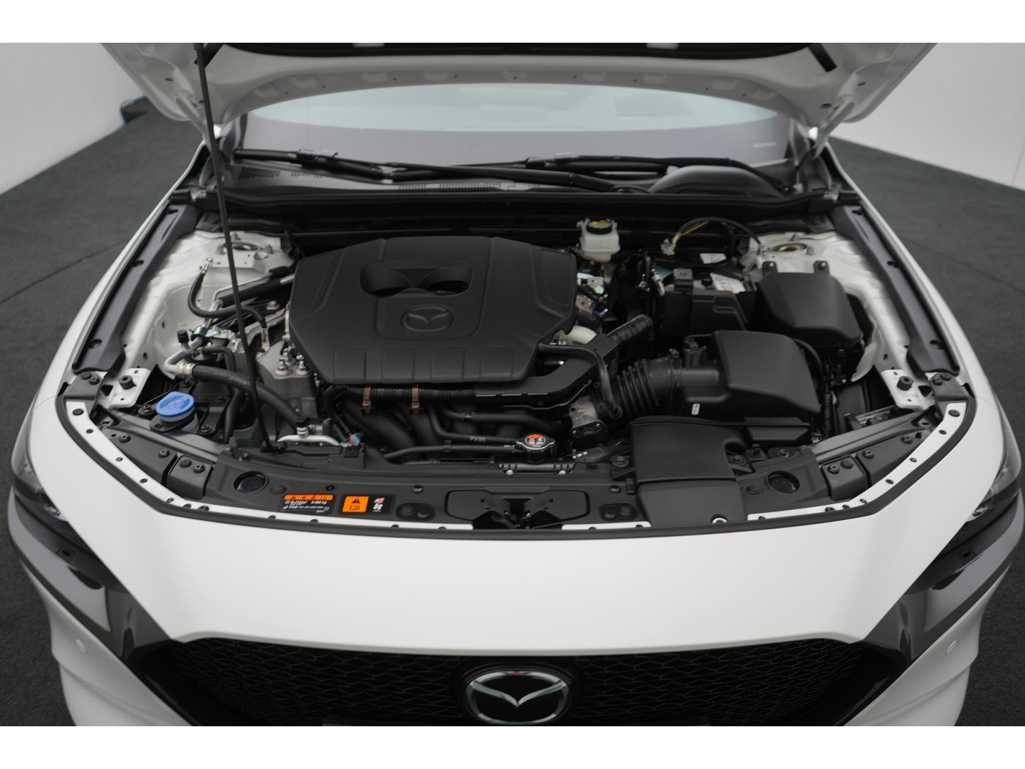Mazda Mazda