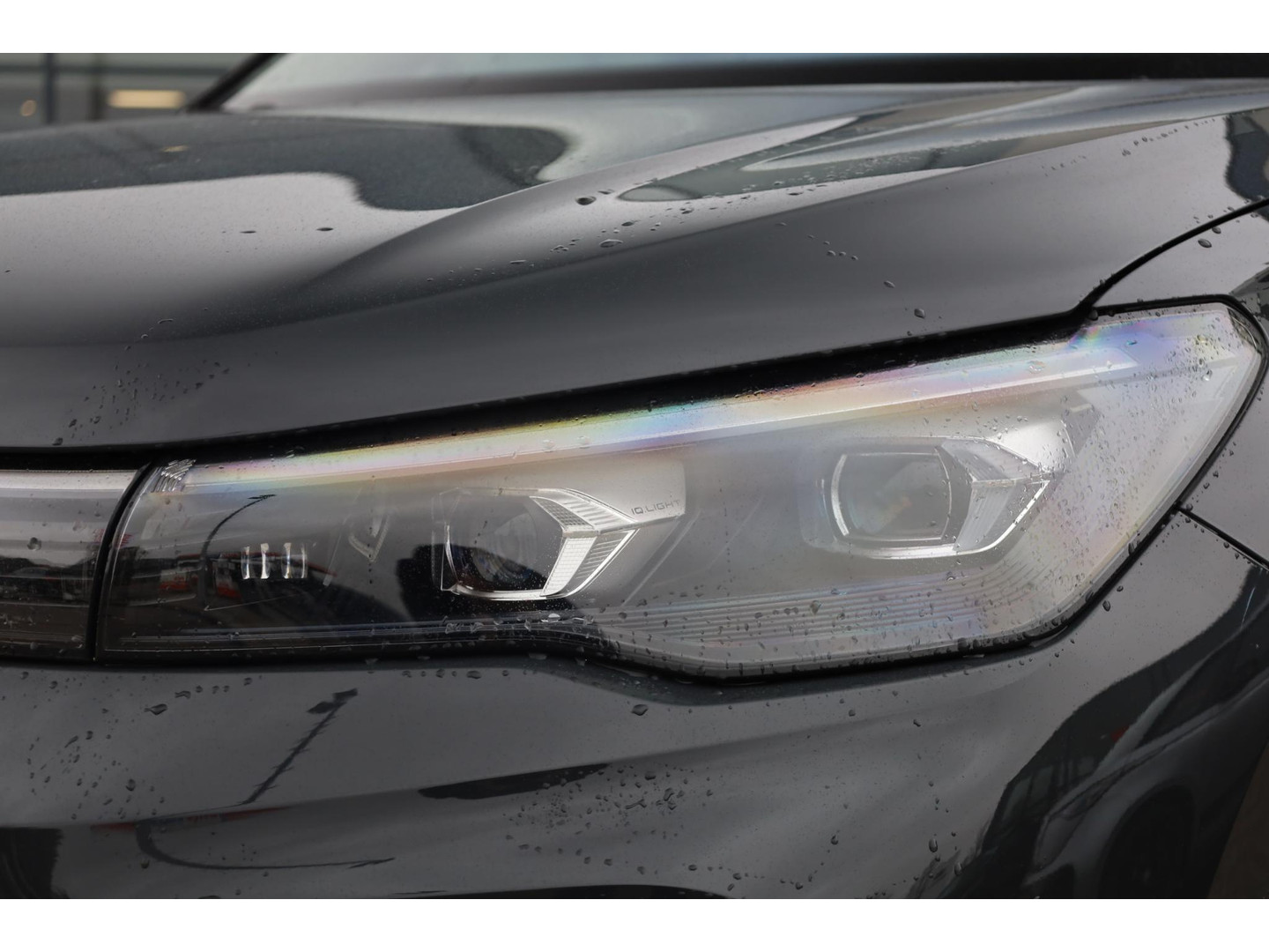 Volkswagen Volkswagen