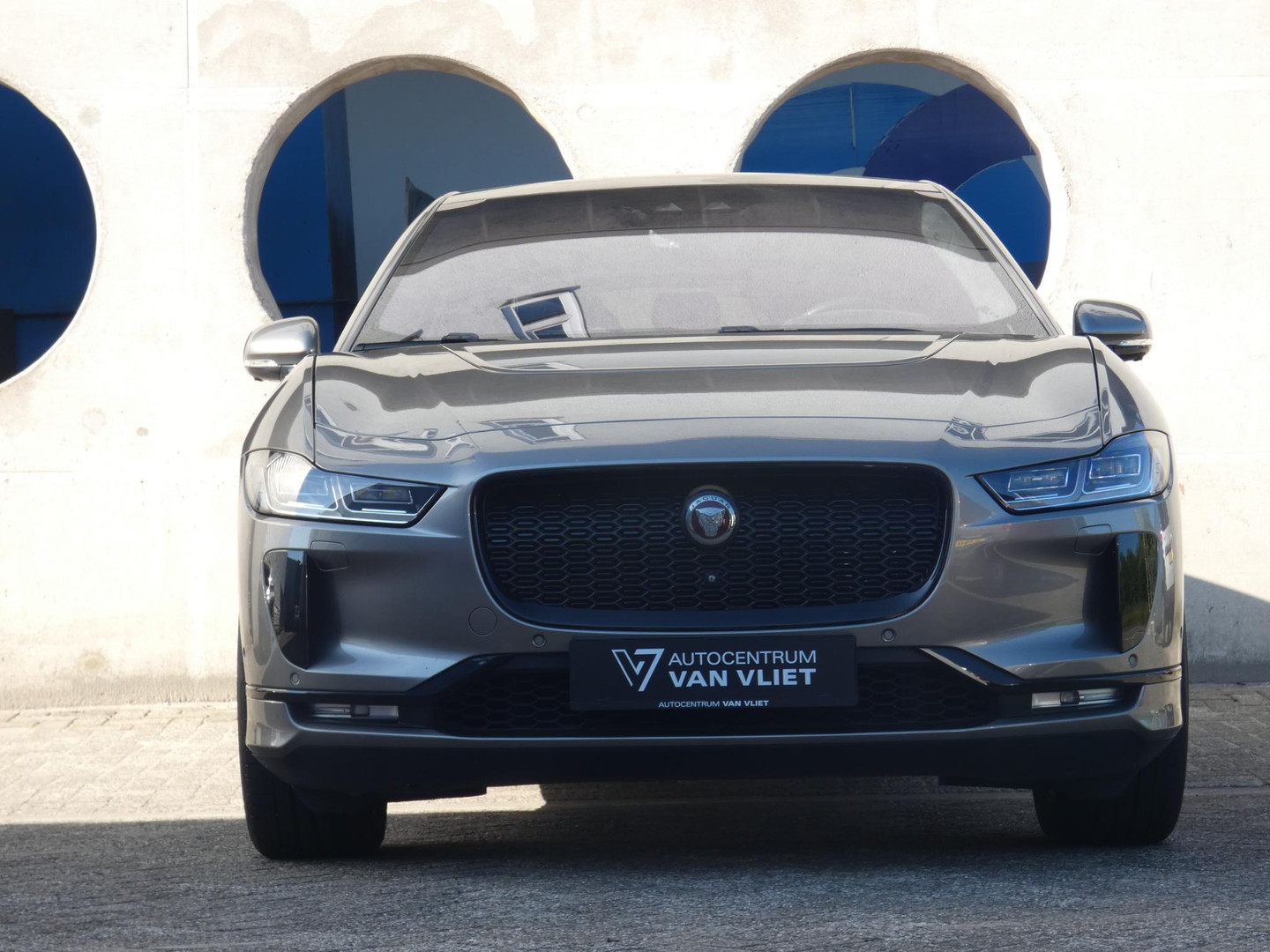 Jaguar Jaguar