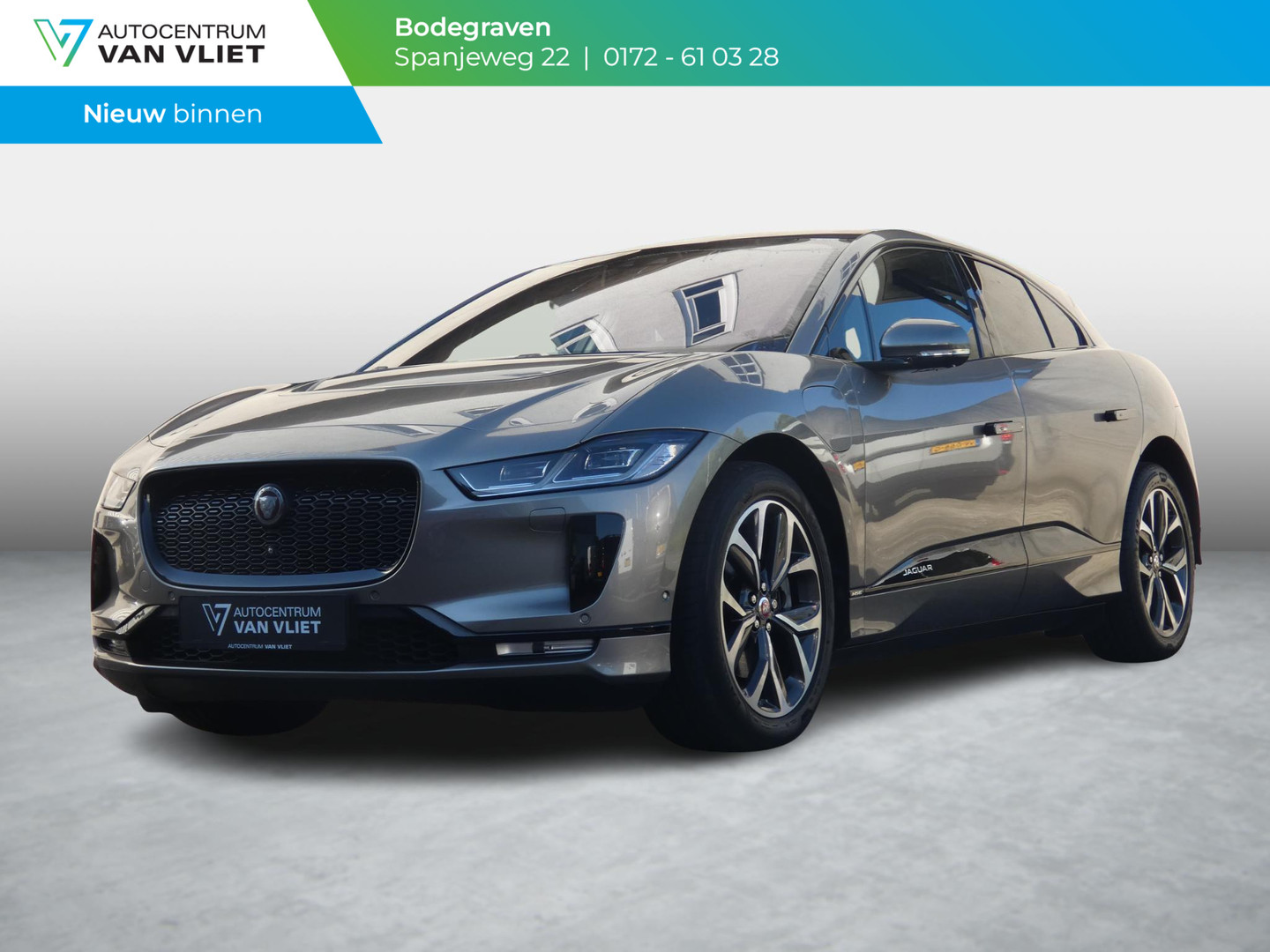 Jaguar Jaguar