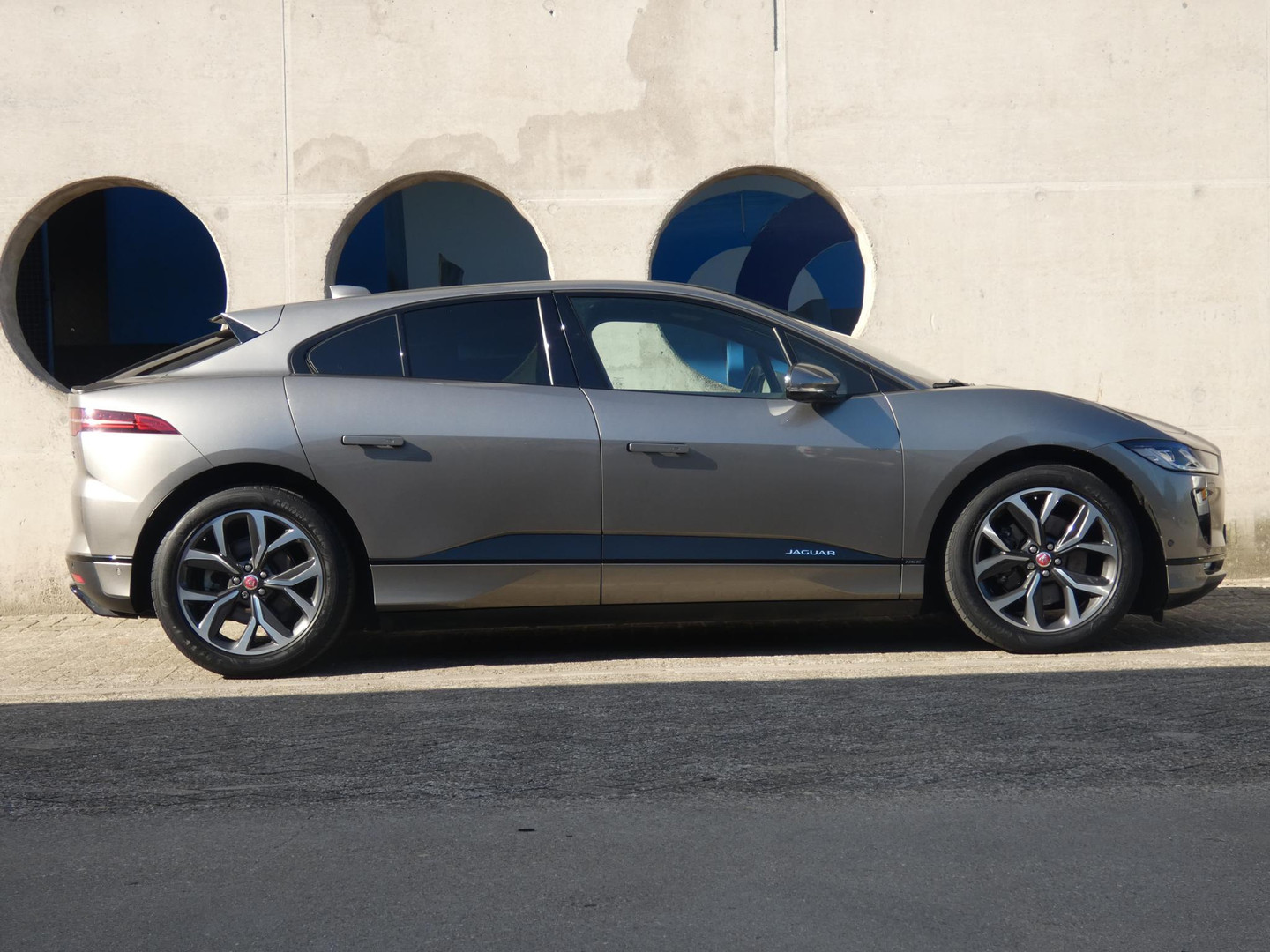 Jaguar Jaguar