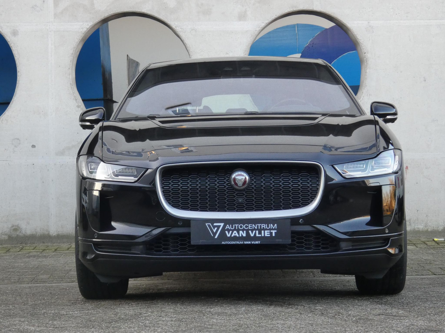 Jaguar Jaguar