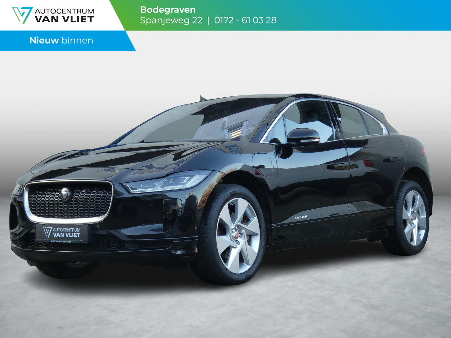 Jaguar Jaguar