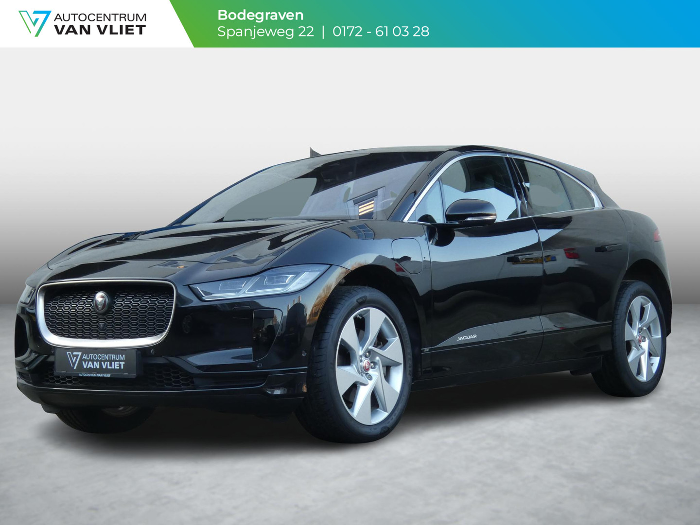 Jaguar Jaguar