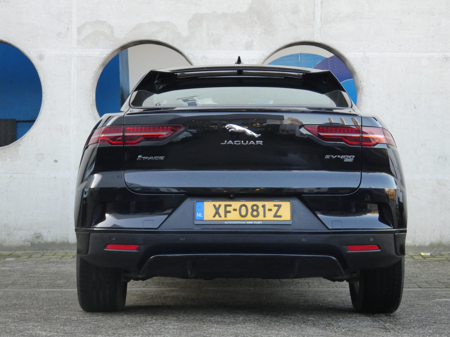 Jaguar Jaguar