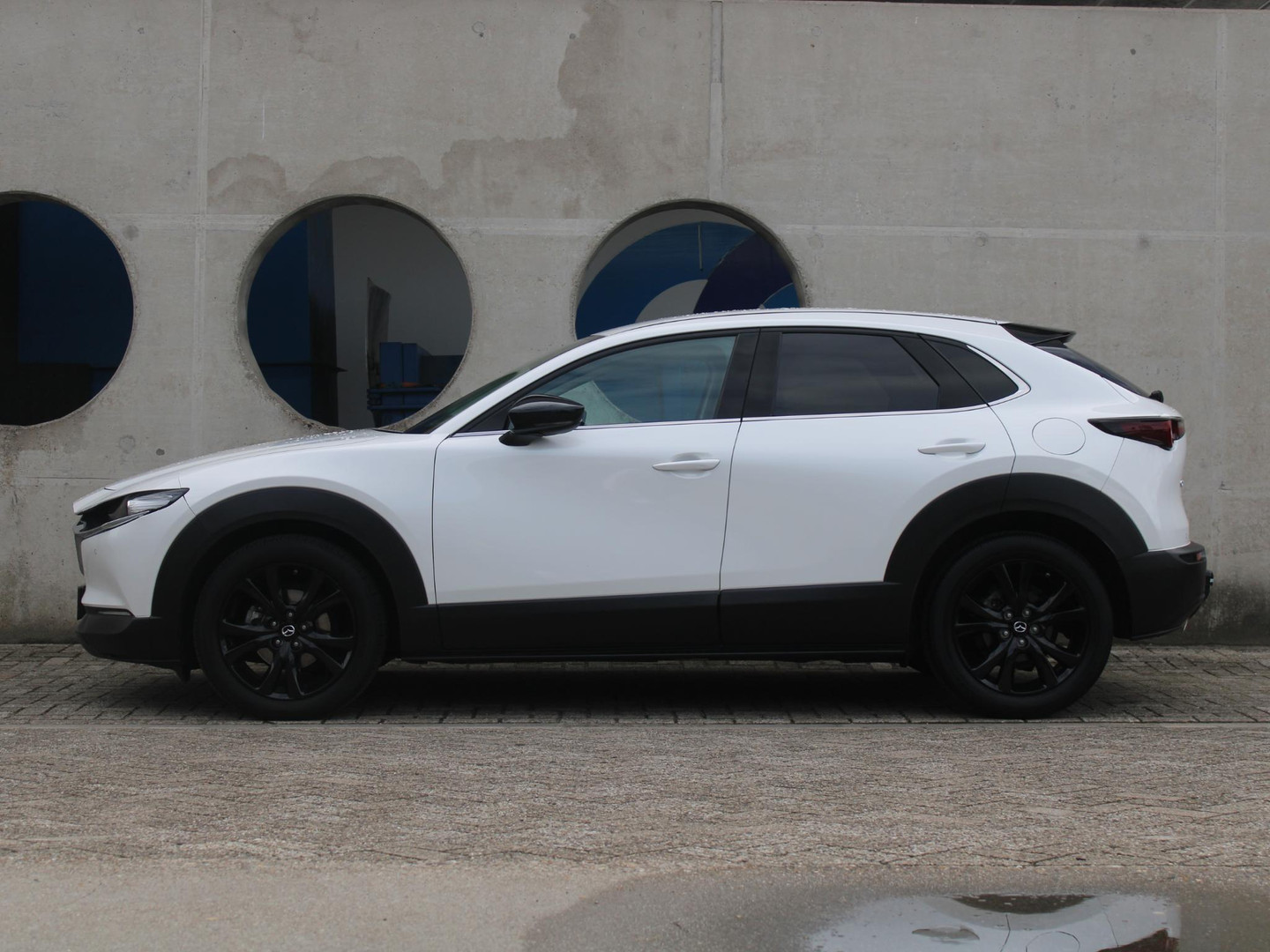 Mazda Mazda