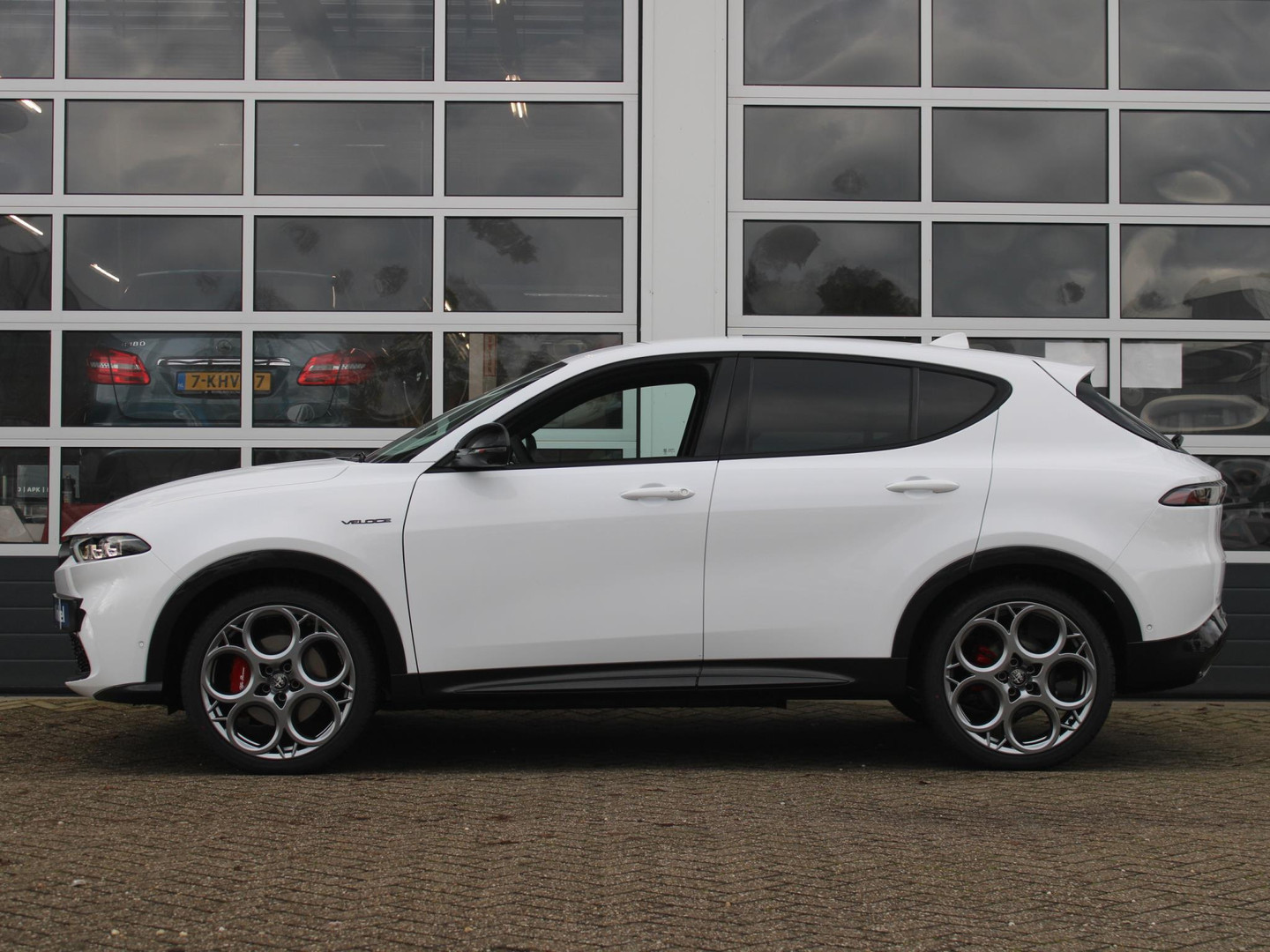 Alfa Romeo Alfa Romeo