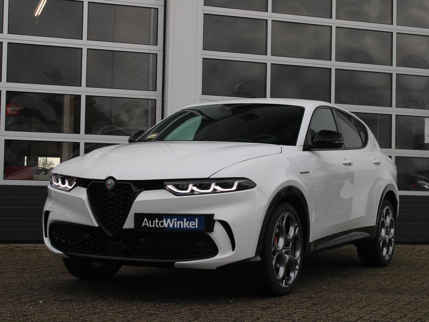 Alfa Romeo Alfa Romeo