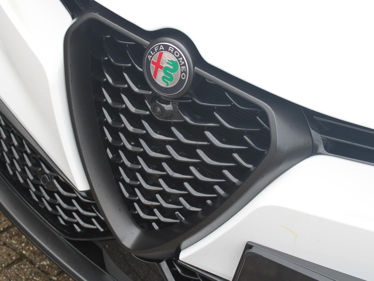 Alfa Romeo Alfa Romeo