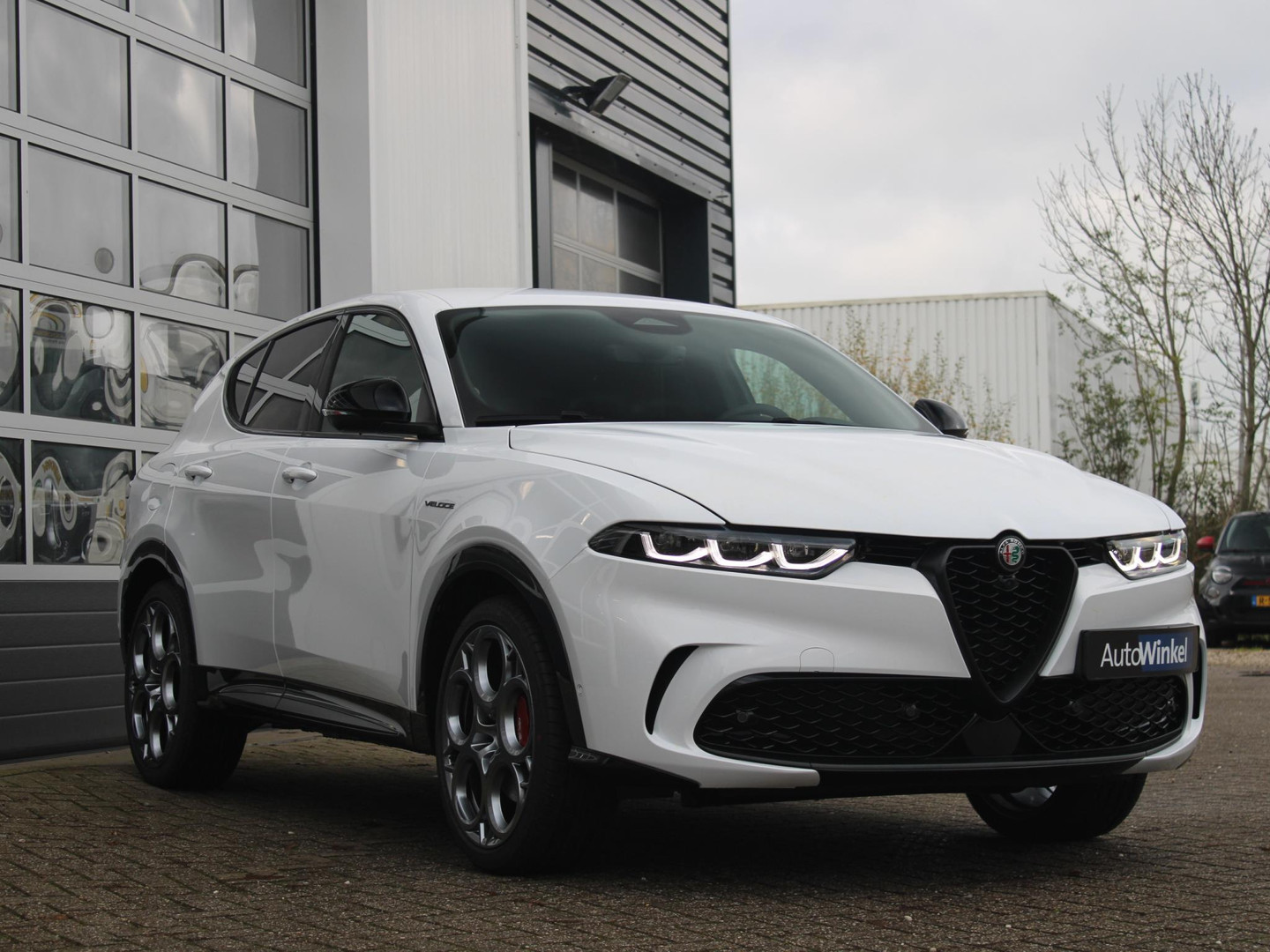 Alfa Romeo Alfa Romeo
