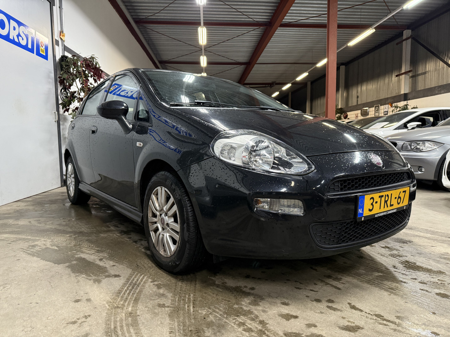 Fiat