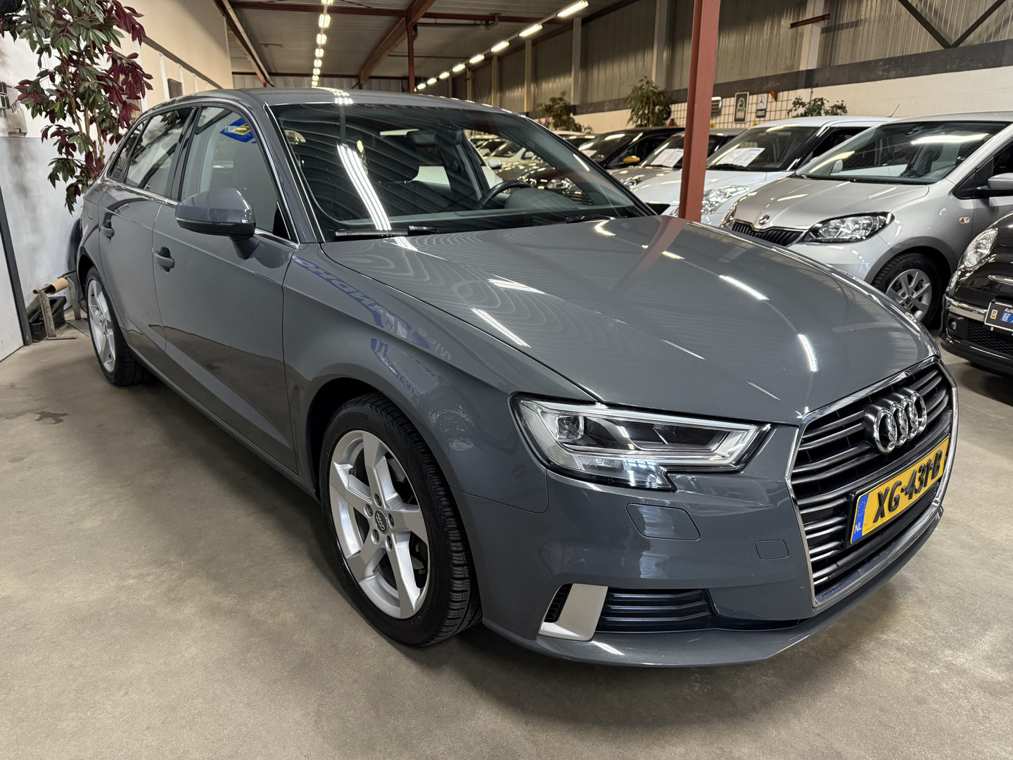 Audi Audi