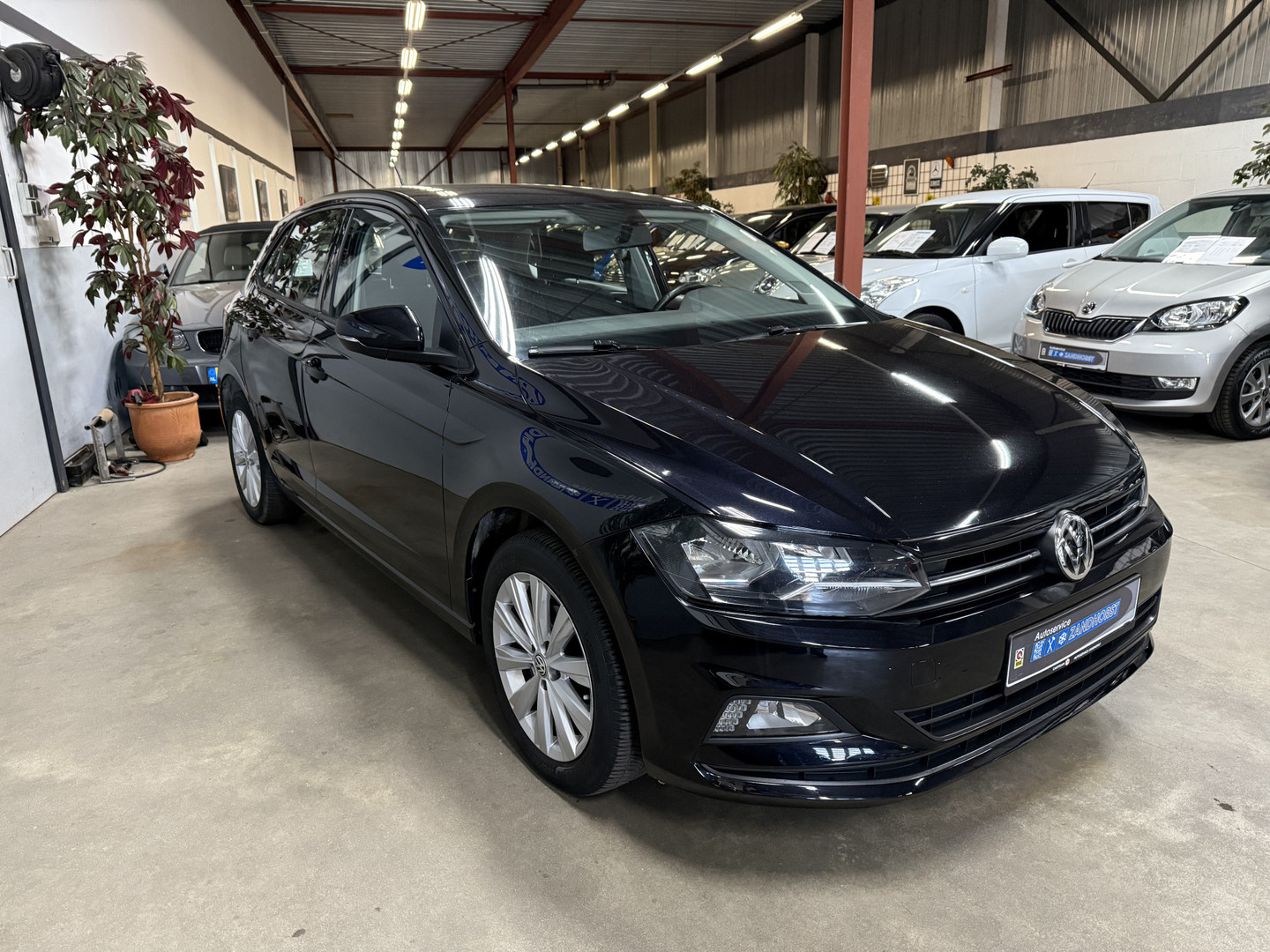 Volkswagen Volkswagen