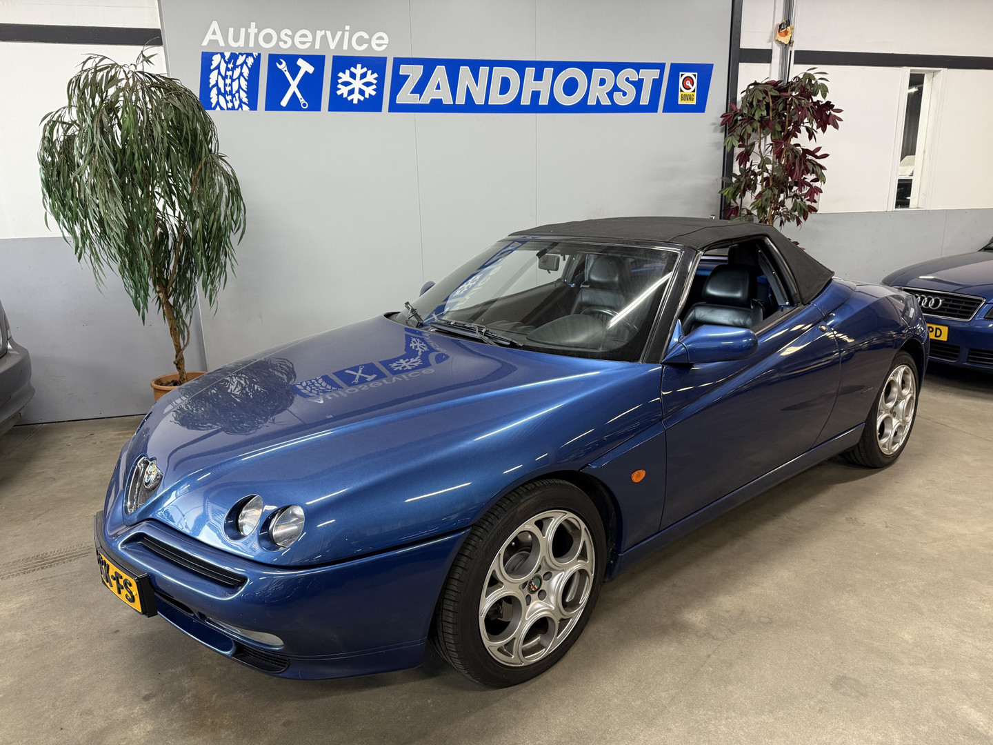 Alfa Romeo Alfa Romeo