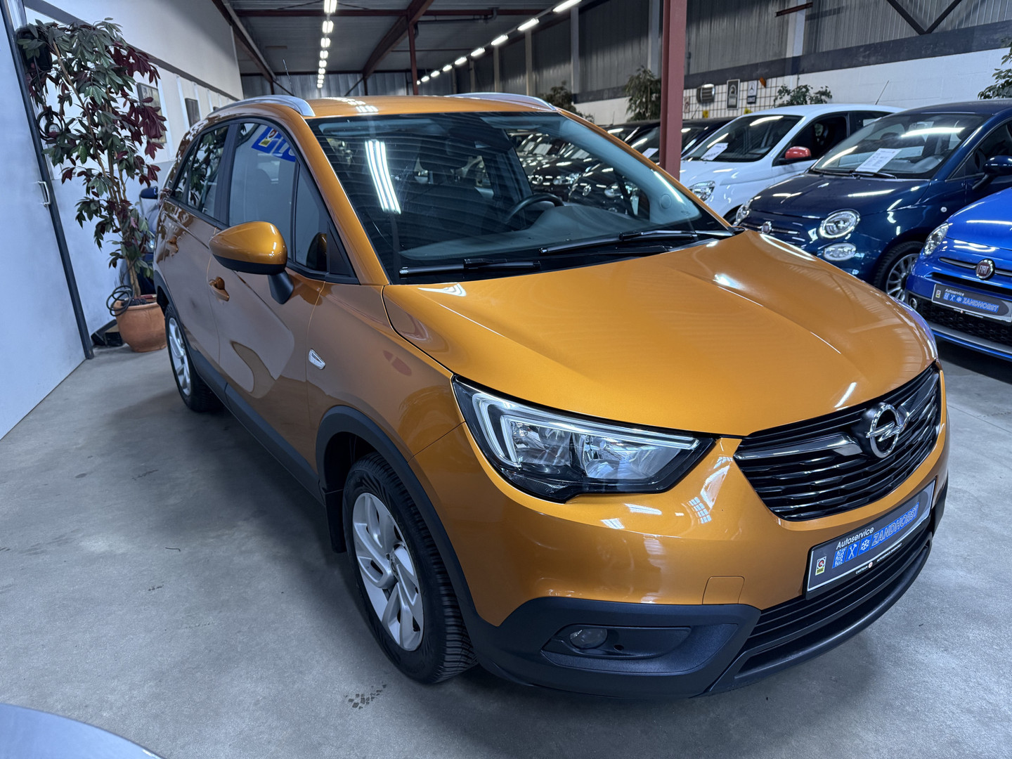 Opel